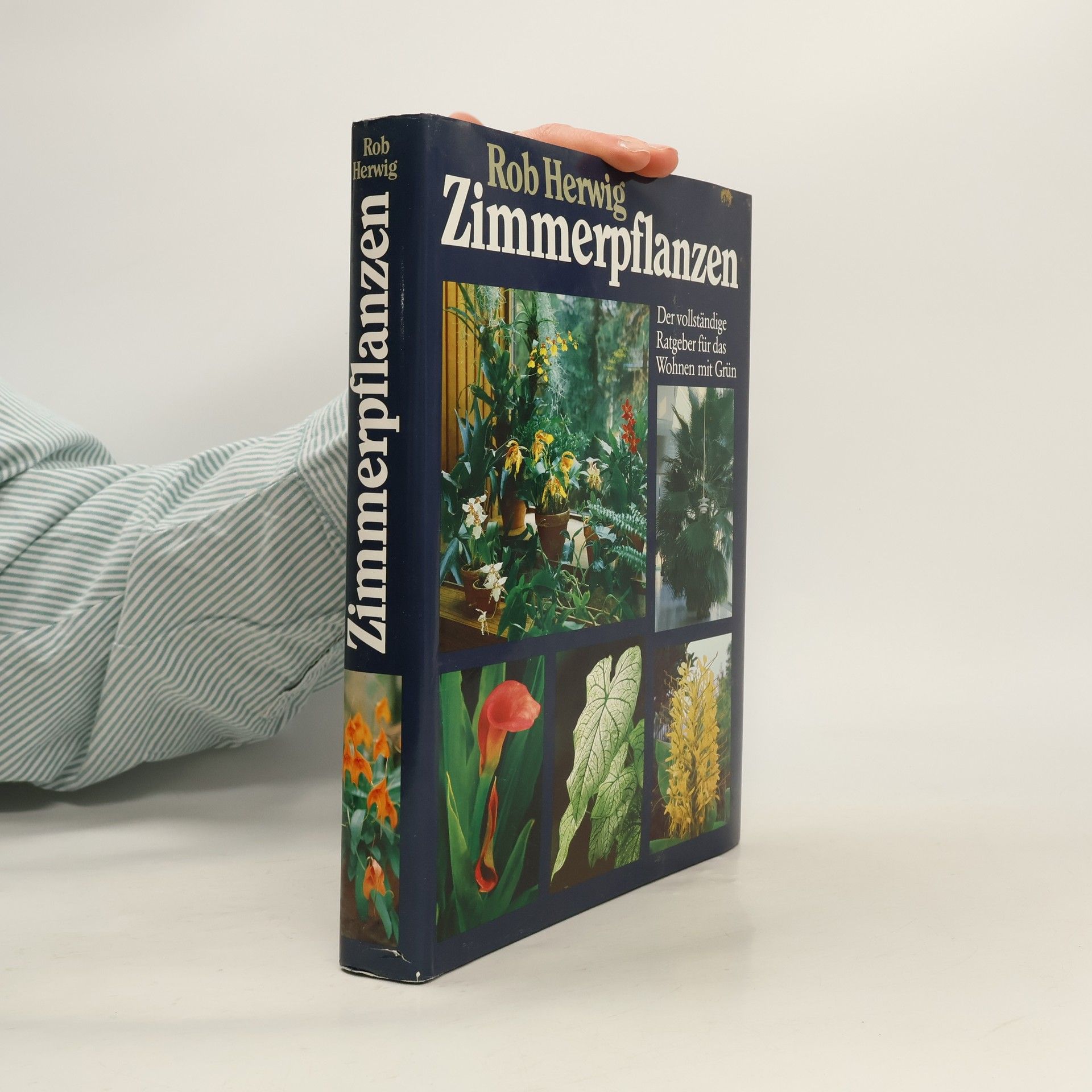 Rob Herwig Zimmerpflanzen