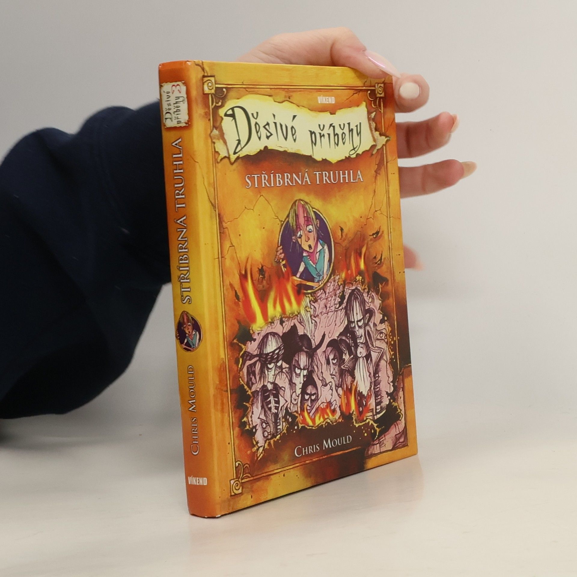 Chris Mould Děsivé příběhy 3: Stříbrná truhla