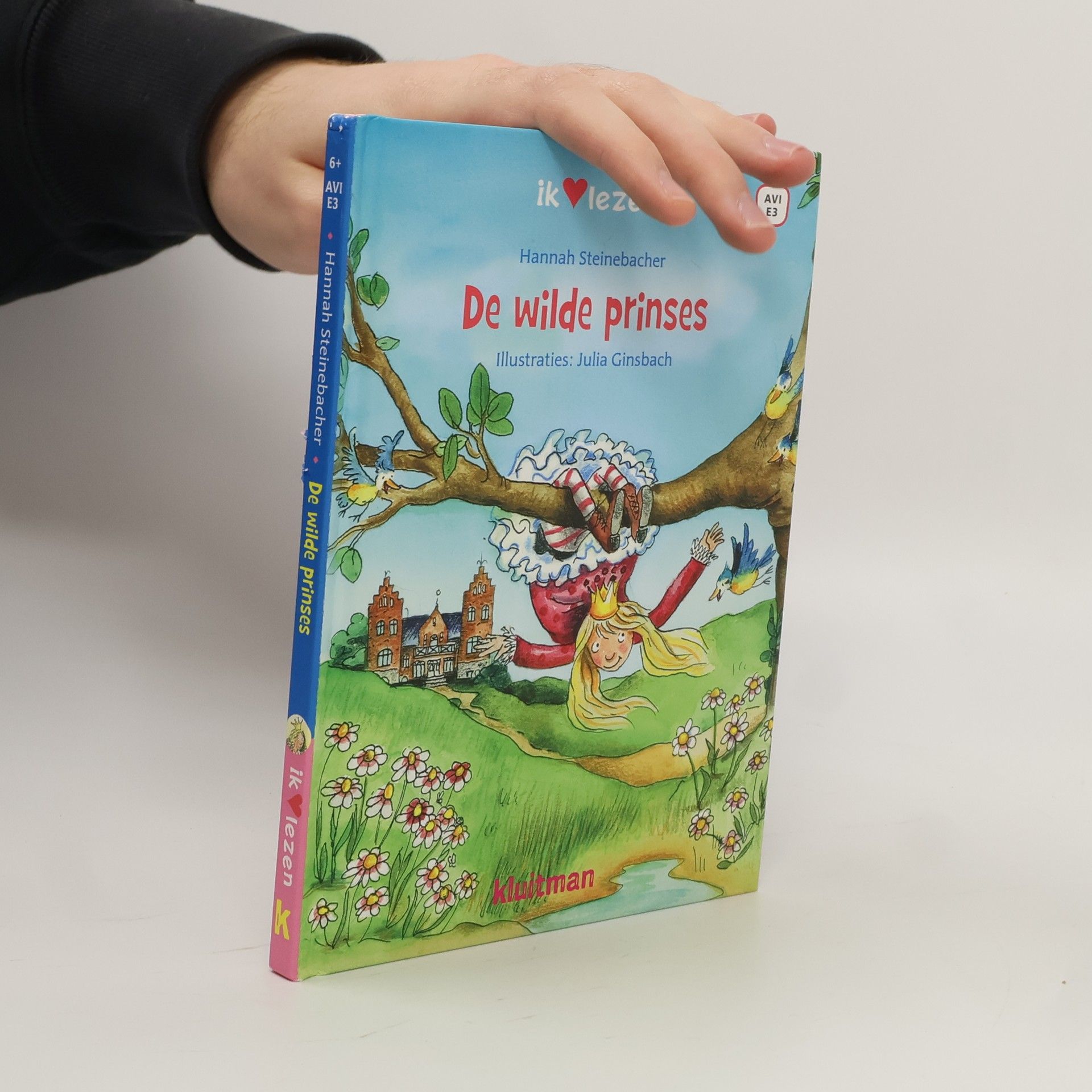 Hannah Steinebacher De wilde prinses