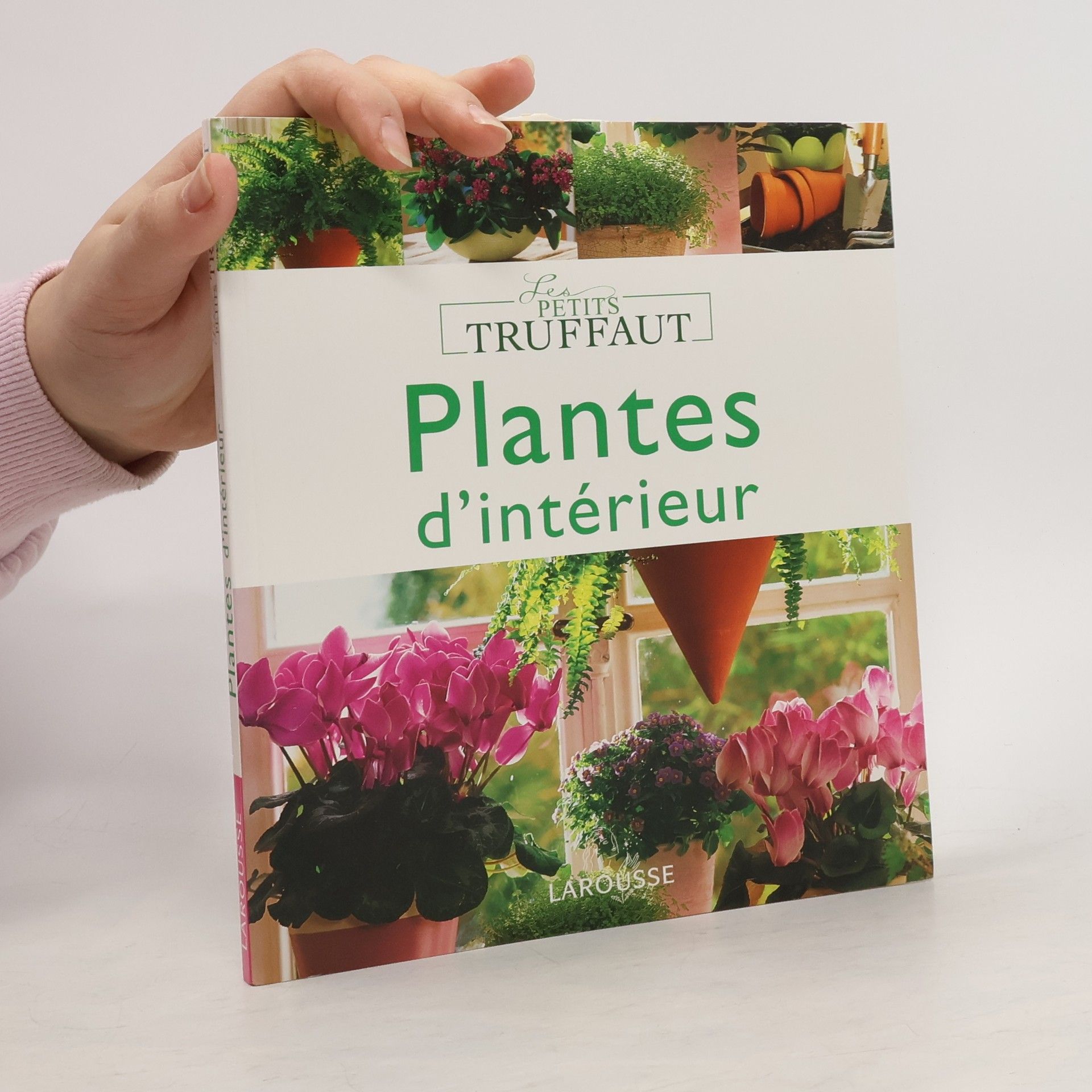 Bénédicte Boudassou Plantes d'intérieur