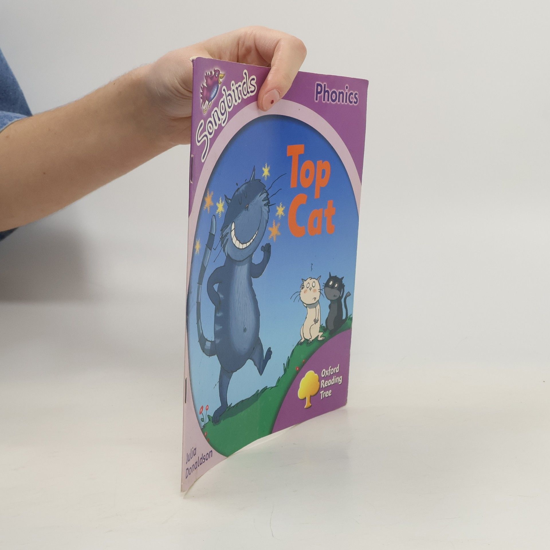 Clare Kirtley Songbirds: Top Cat