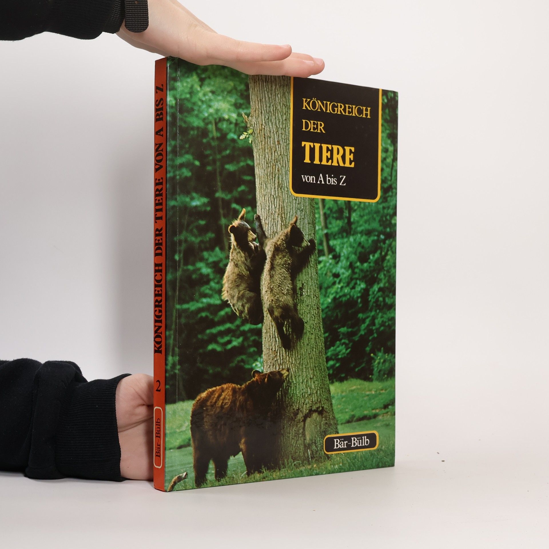 Collectif d'auteurs Königreich der Tiere von A bis Z, Bär-Bülb