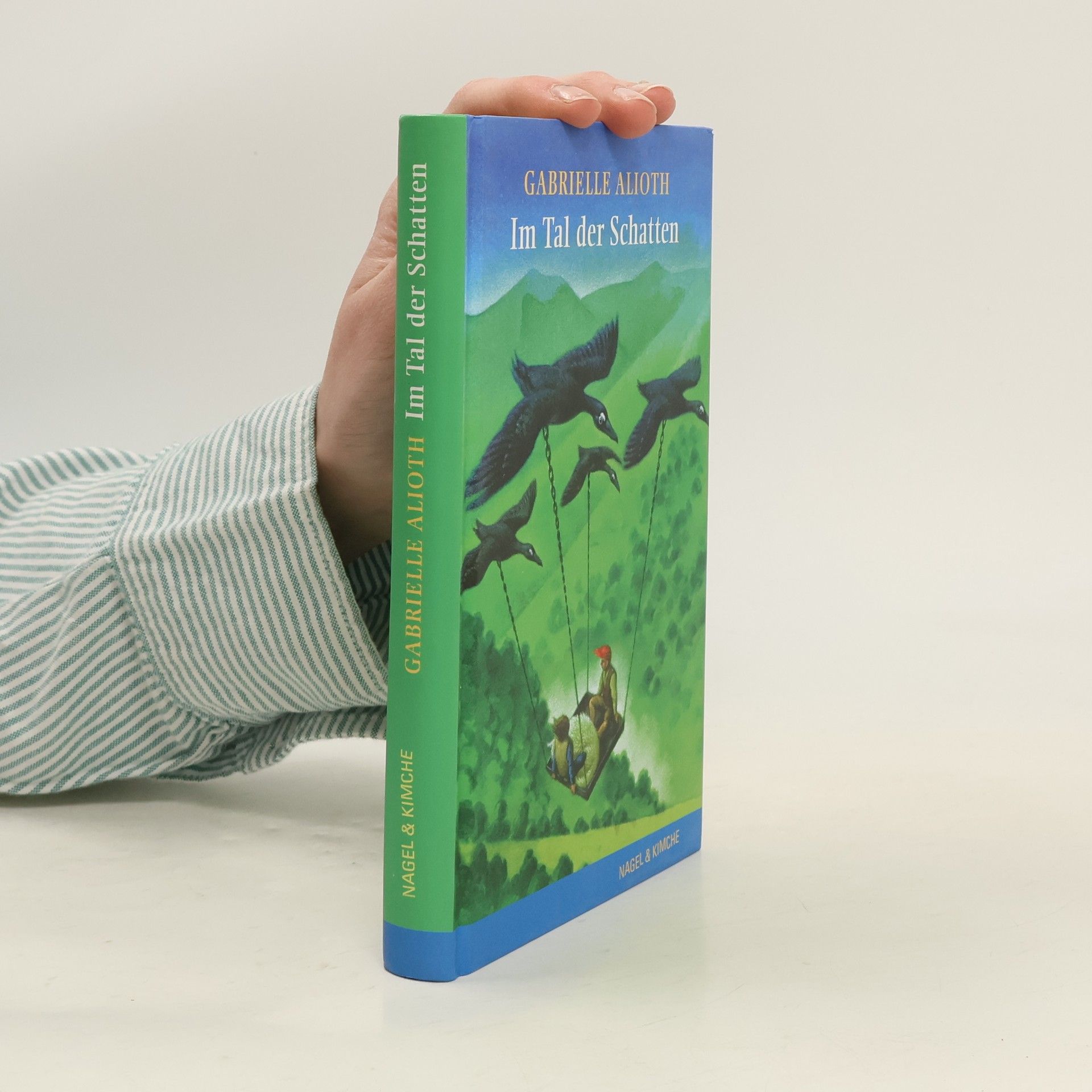 Gabrielle Alioth Im Tal der Schatten