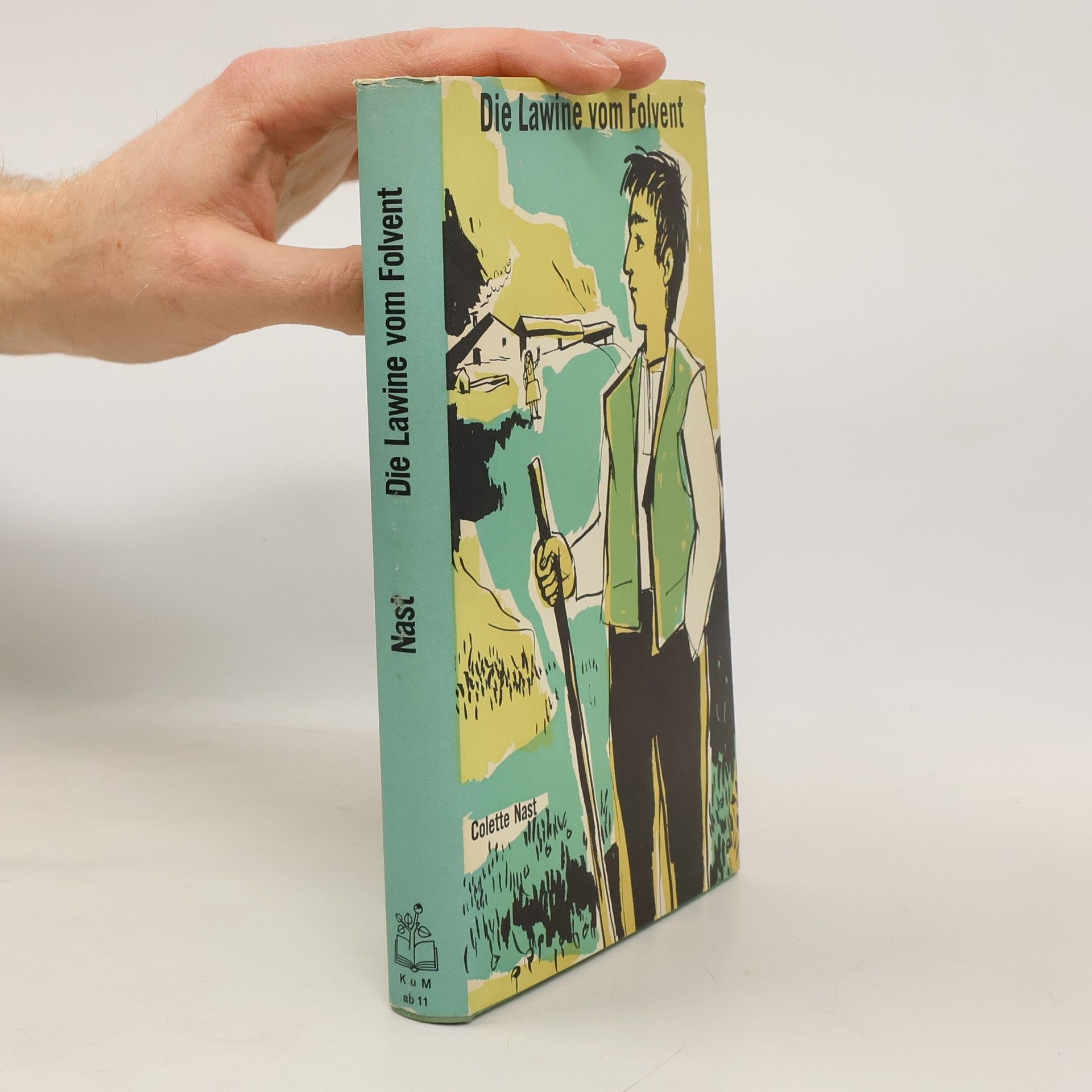 Die Lawine vom Folvent