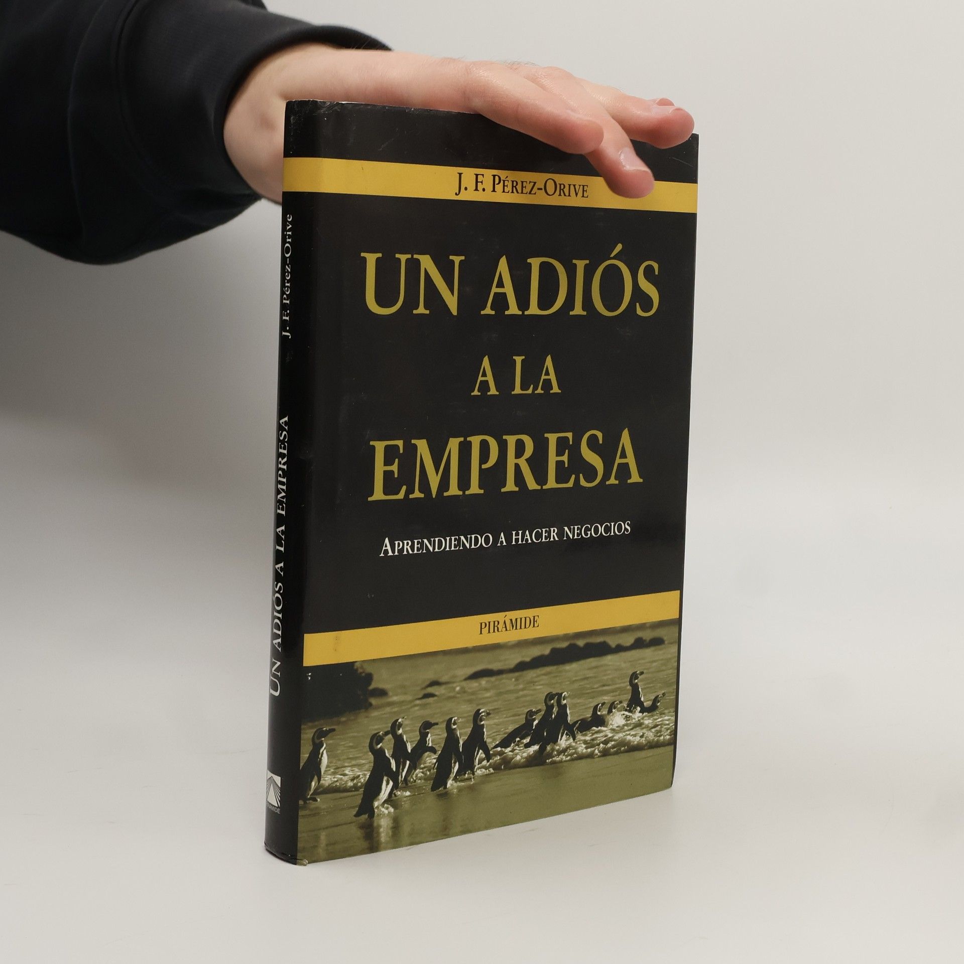 José Félix Pérez-Orive Carceller Un adiós a la empresa