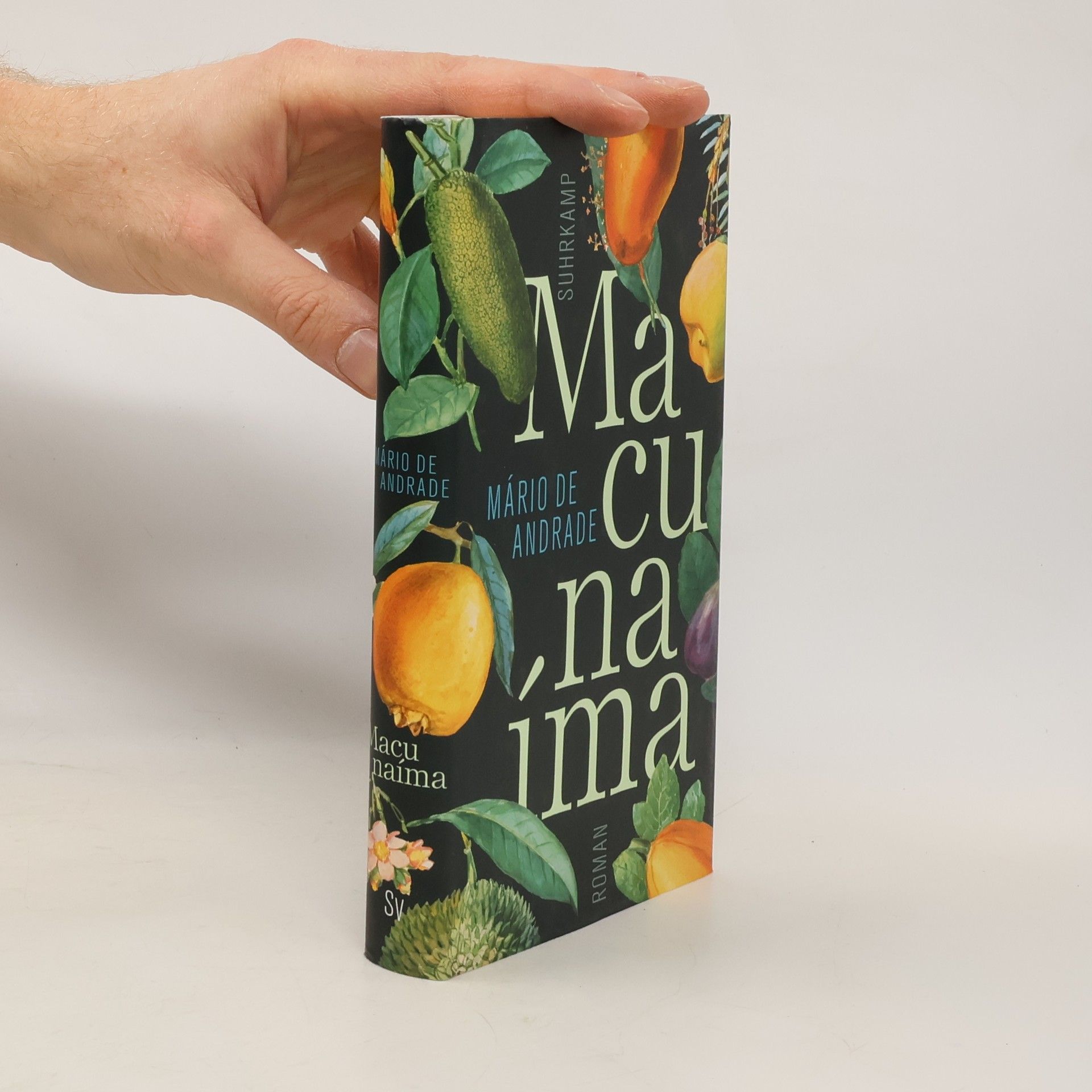 Mário de Andrade Macunaíma. Der Held ohne jeden Charakter