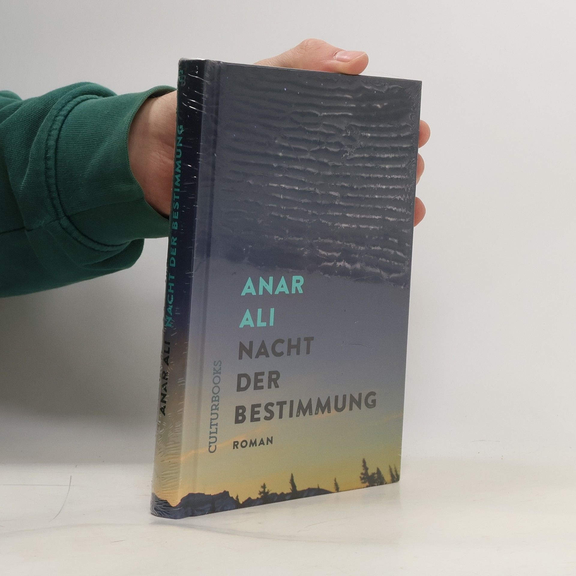 Anar Ali Nacht der Bestimmung