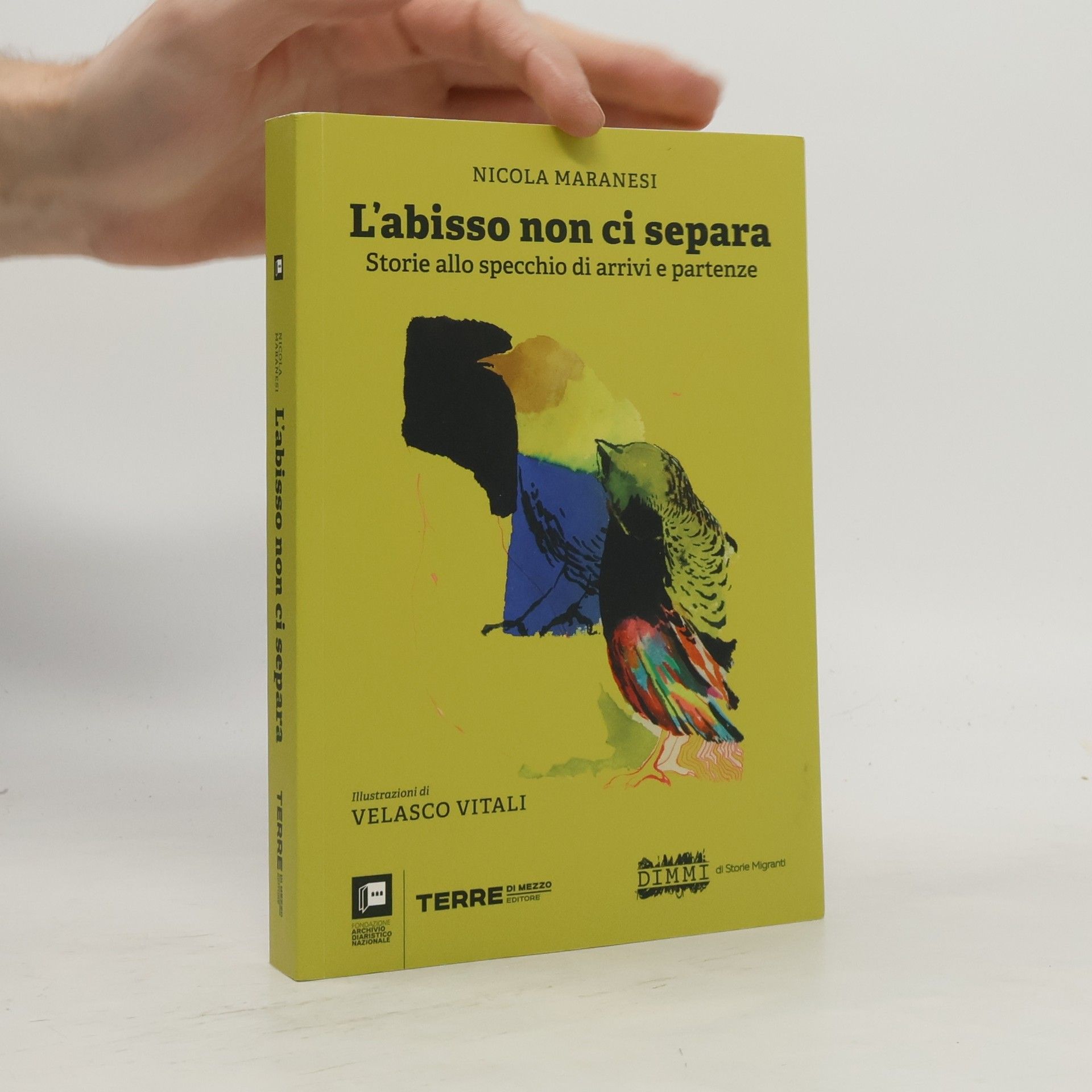 Nicola Maranesi L'abisso non ci separa. Storie allo specchio di arrivi e partenze