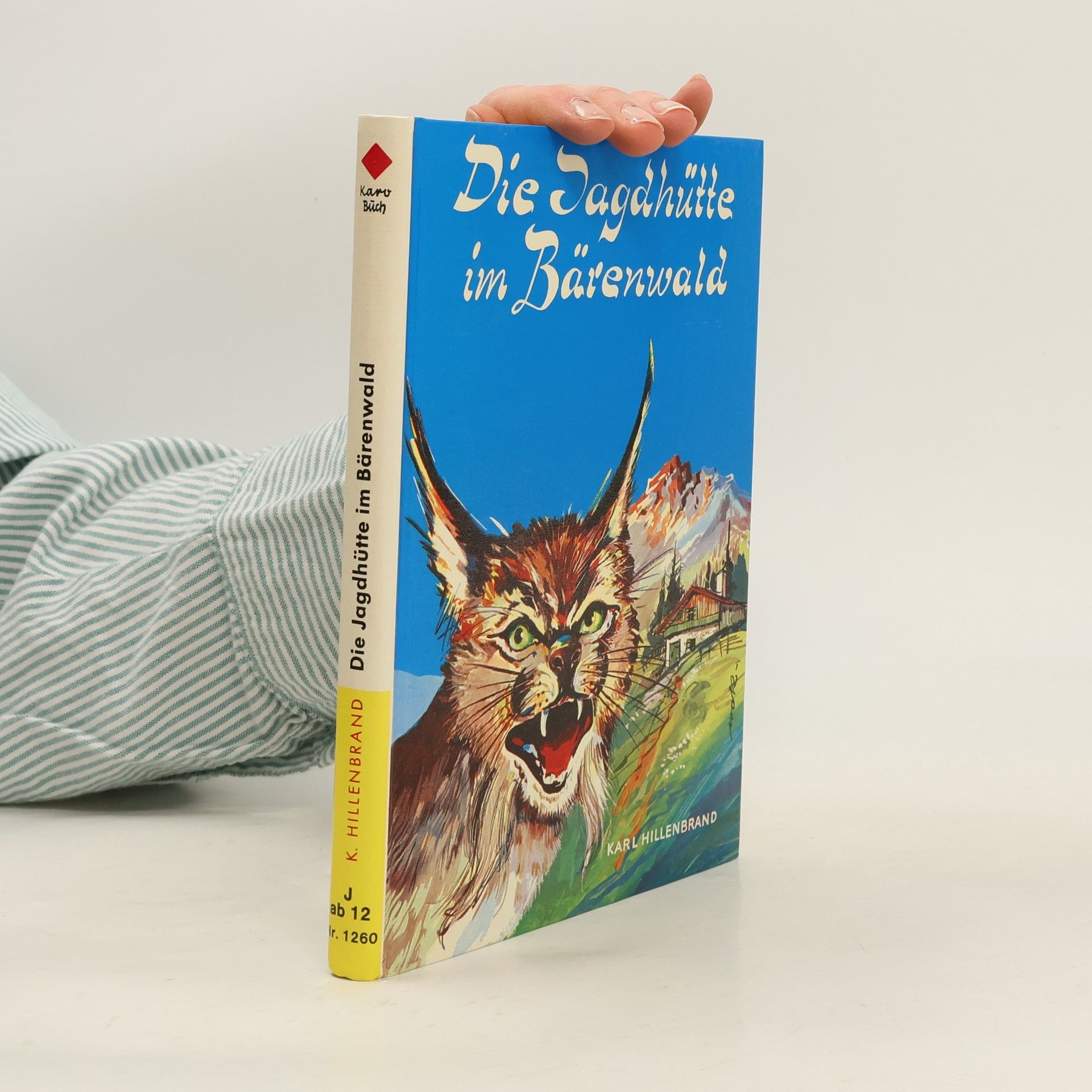 Die Jagdhütte im Bärenwald