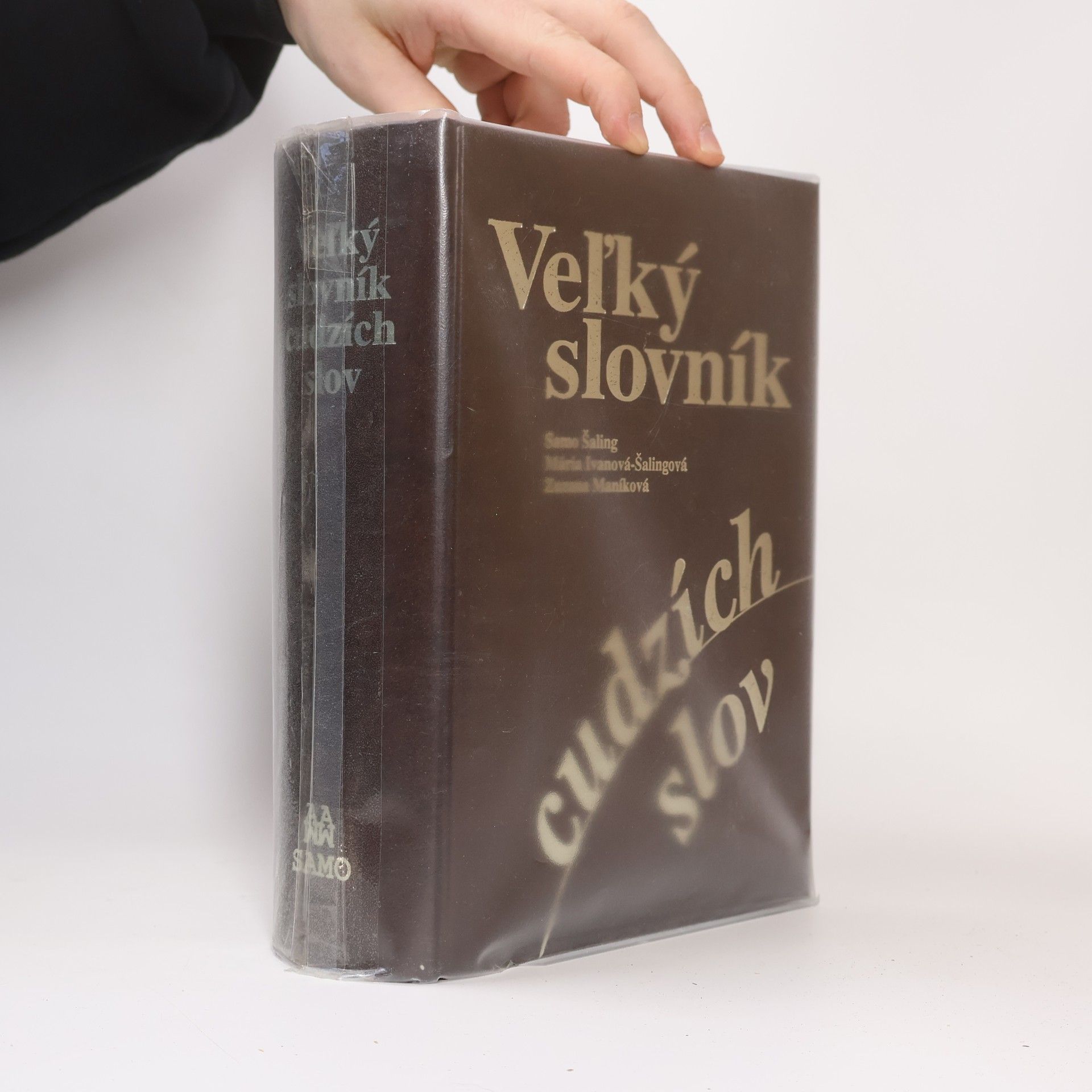 Veľký slovník cudzích slov