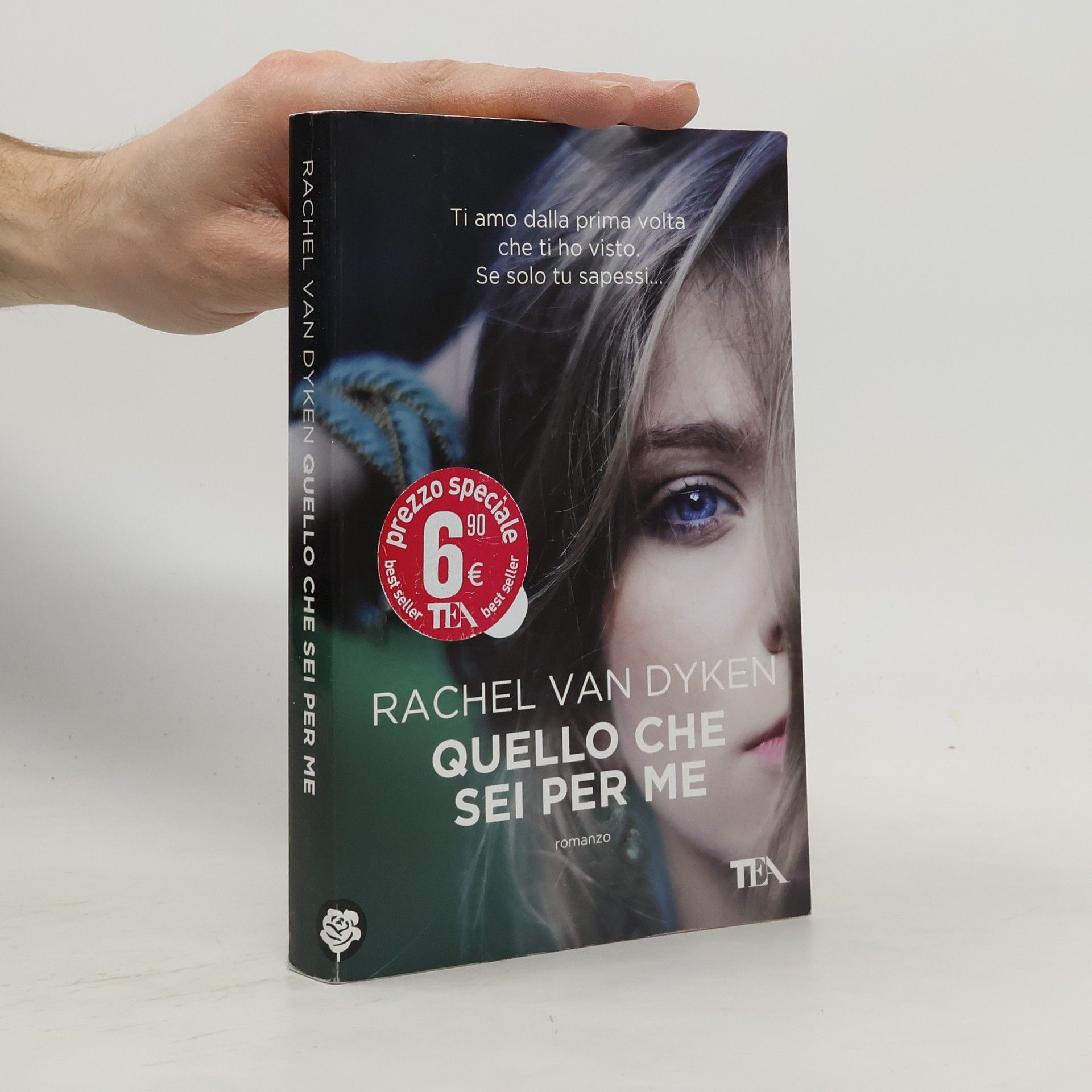 Rachel Van Dyken Quello che sei per me