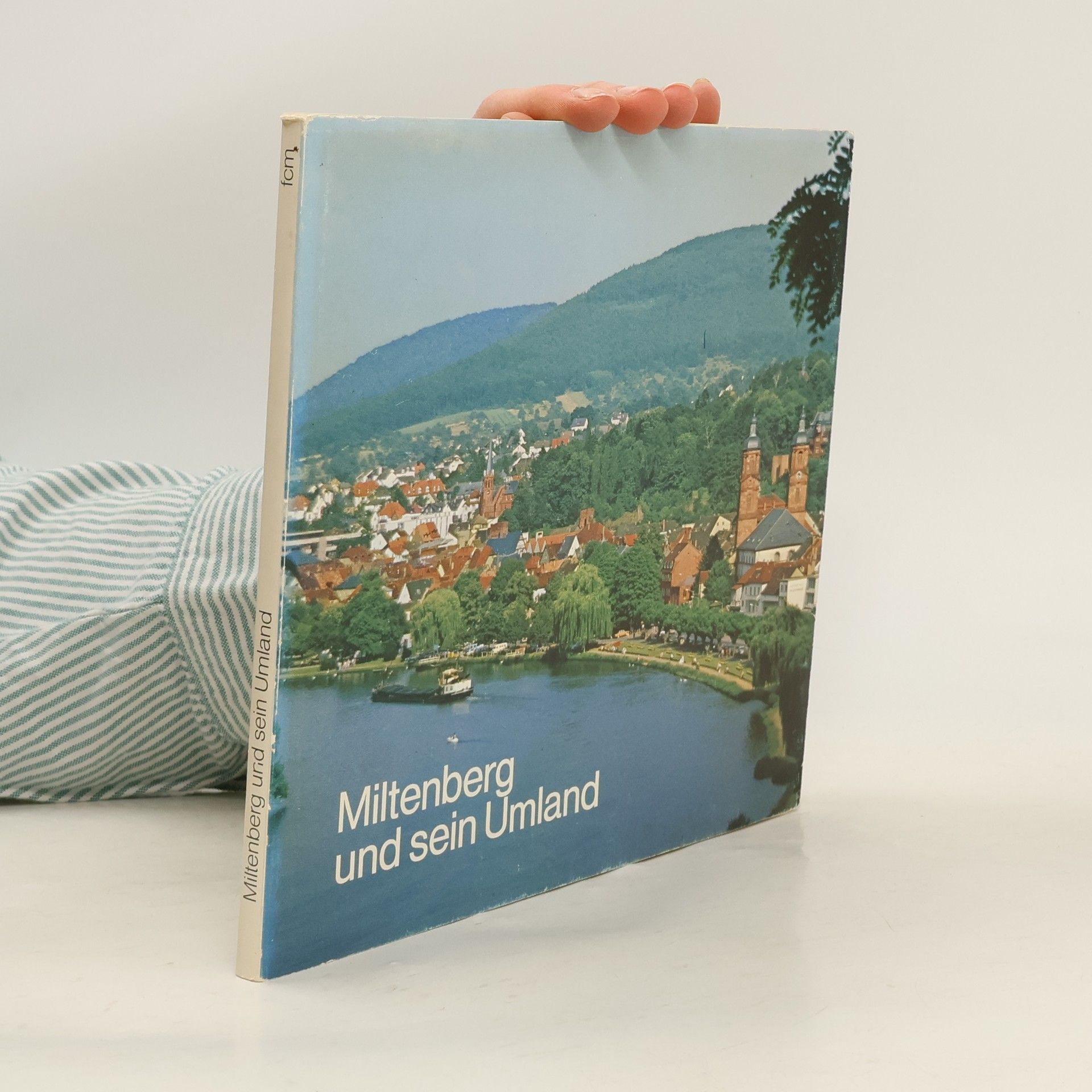 Autores varios Miltenberg und sein Umland