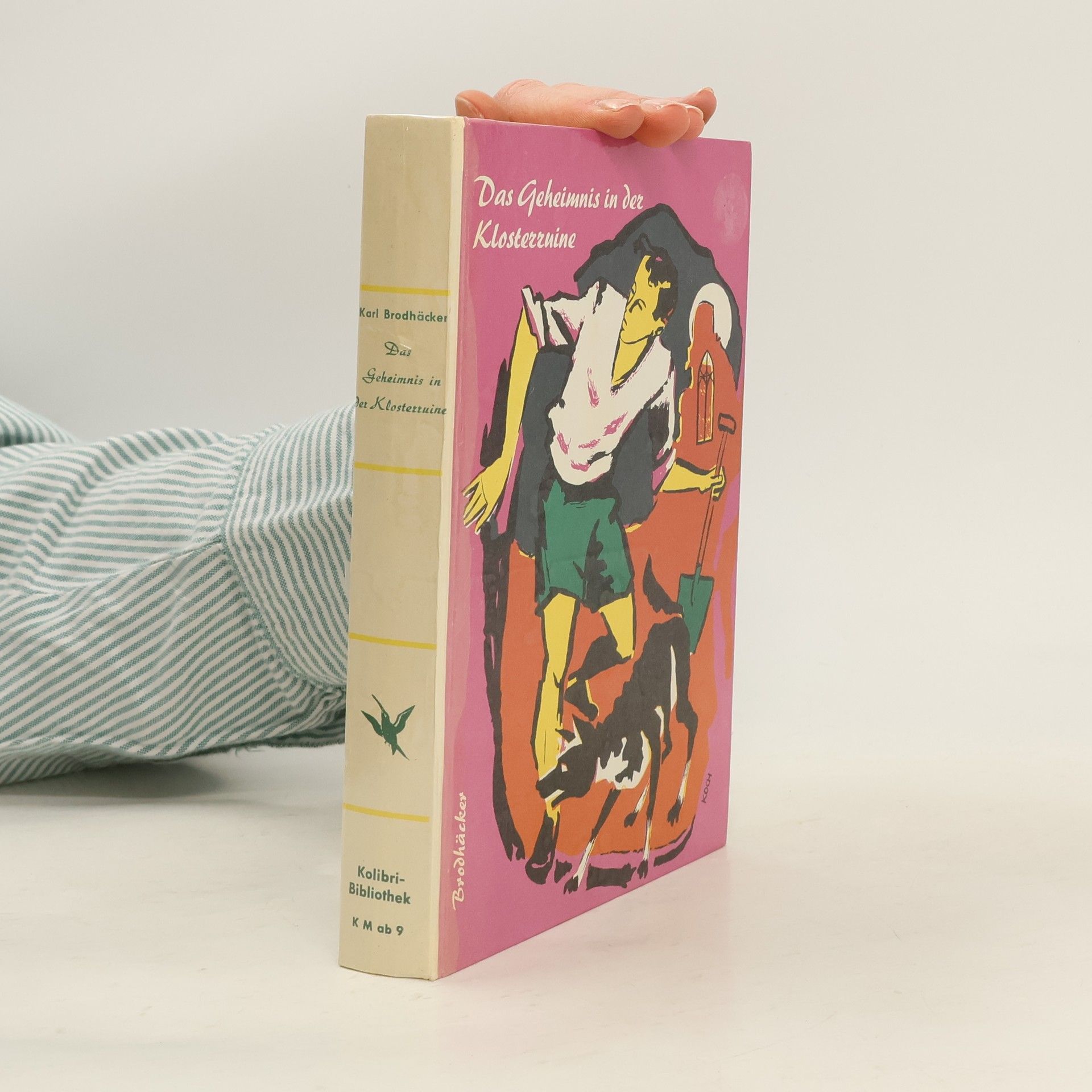 Das Geheimnis in der Klosterruine