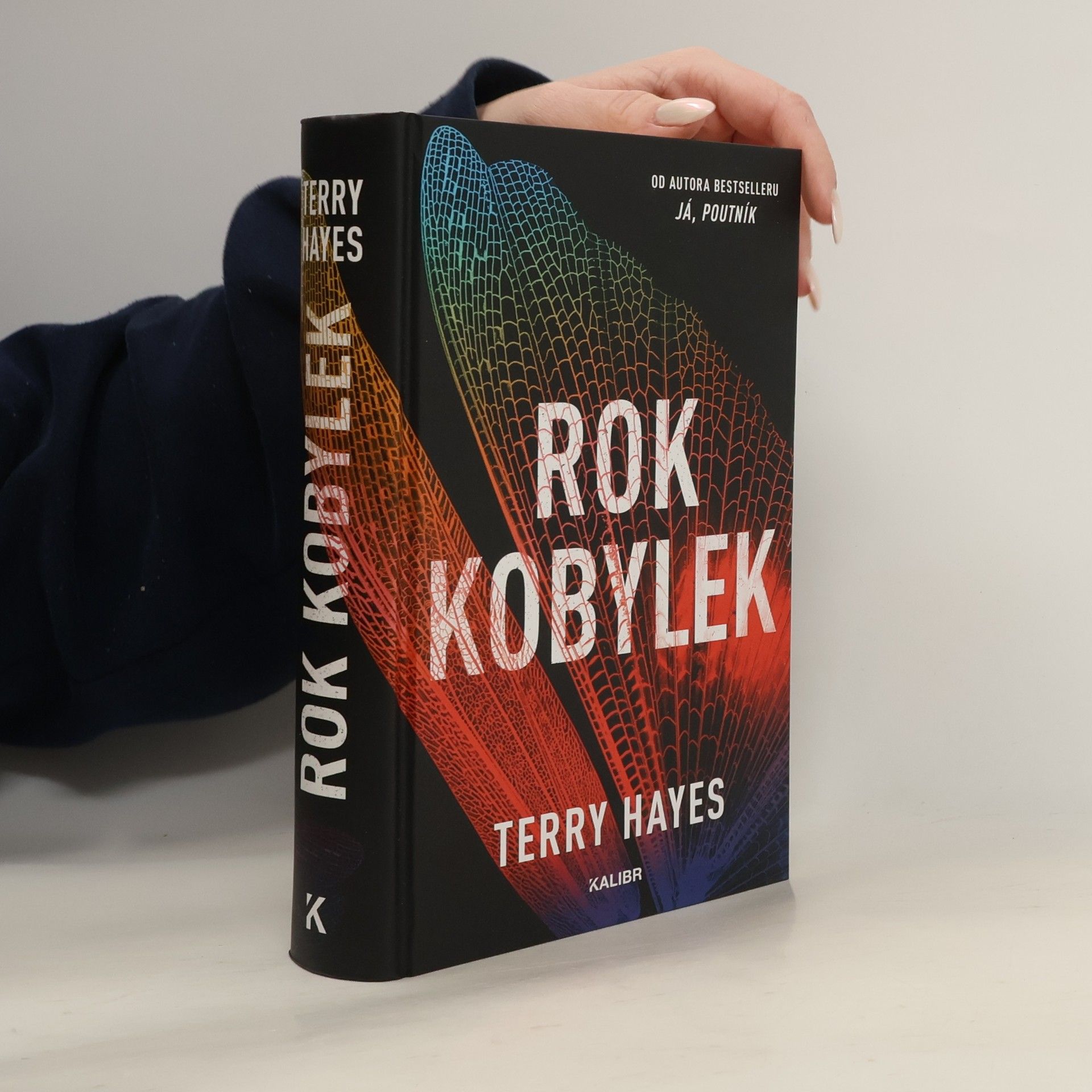 Terry Hayes Rok kobylek