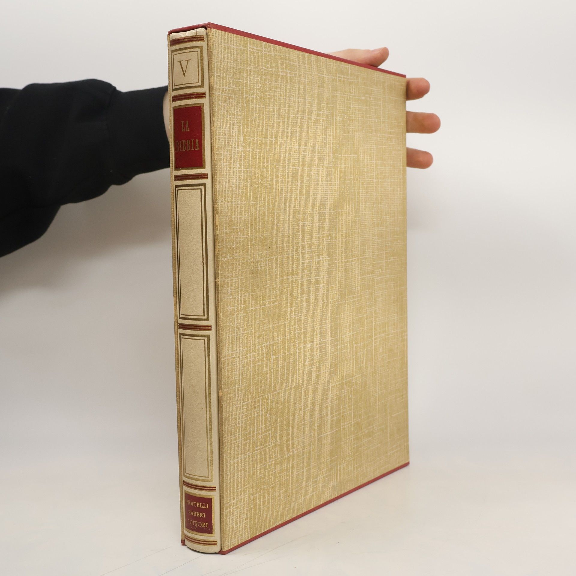 Autorenkollektiv La Bibbia V