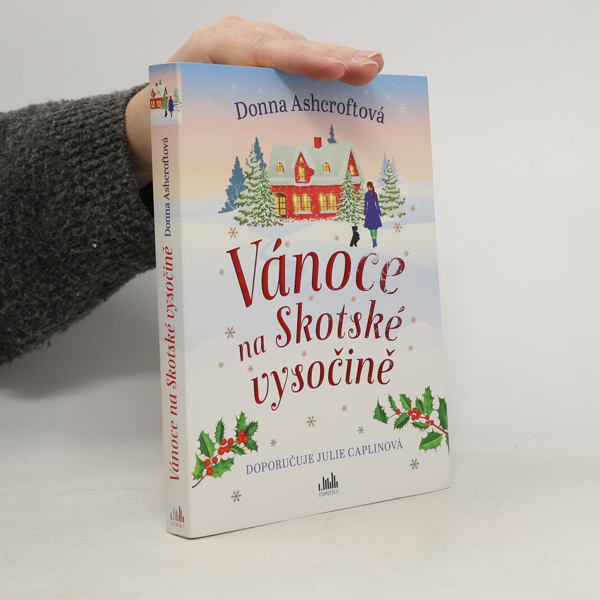 Donna Ashcroft Vánoce na Skotské vysočině