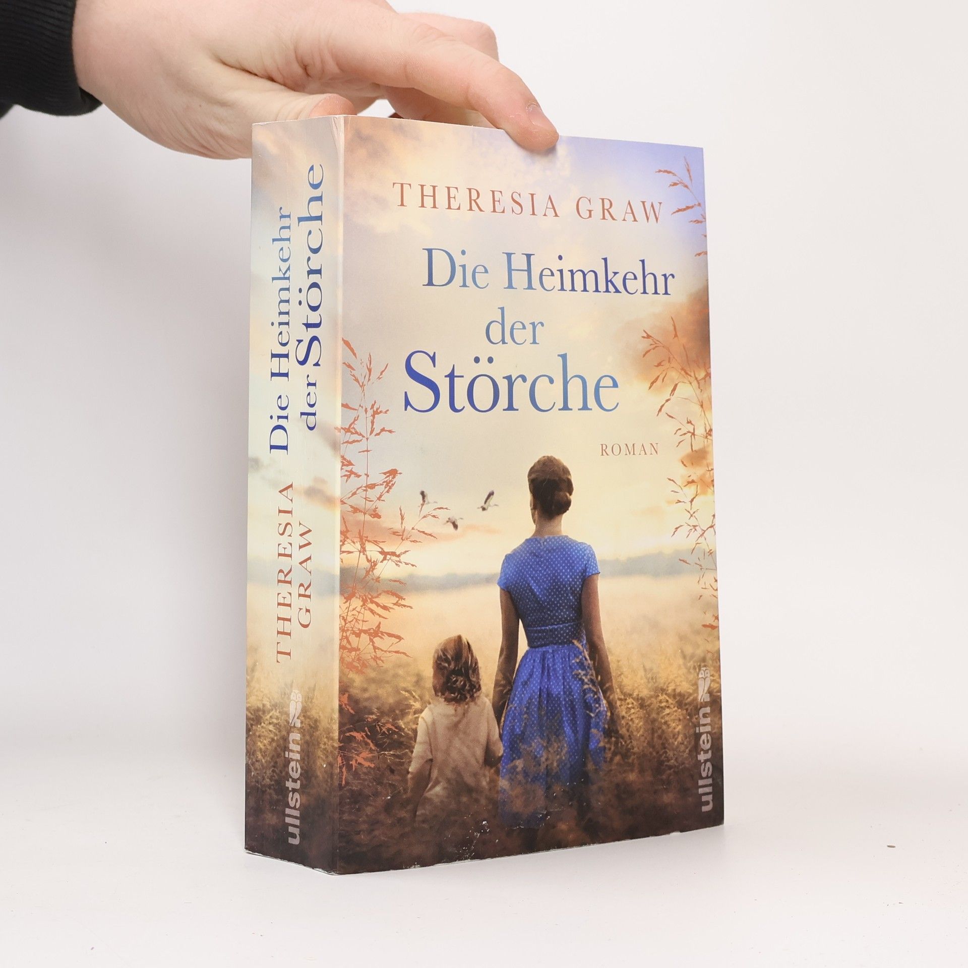 Theresia Graw Die Heimkehr der Störche