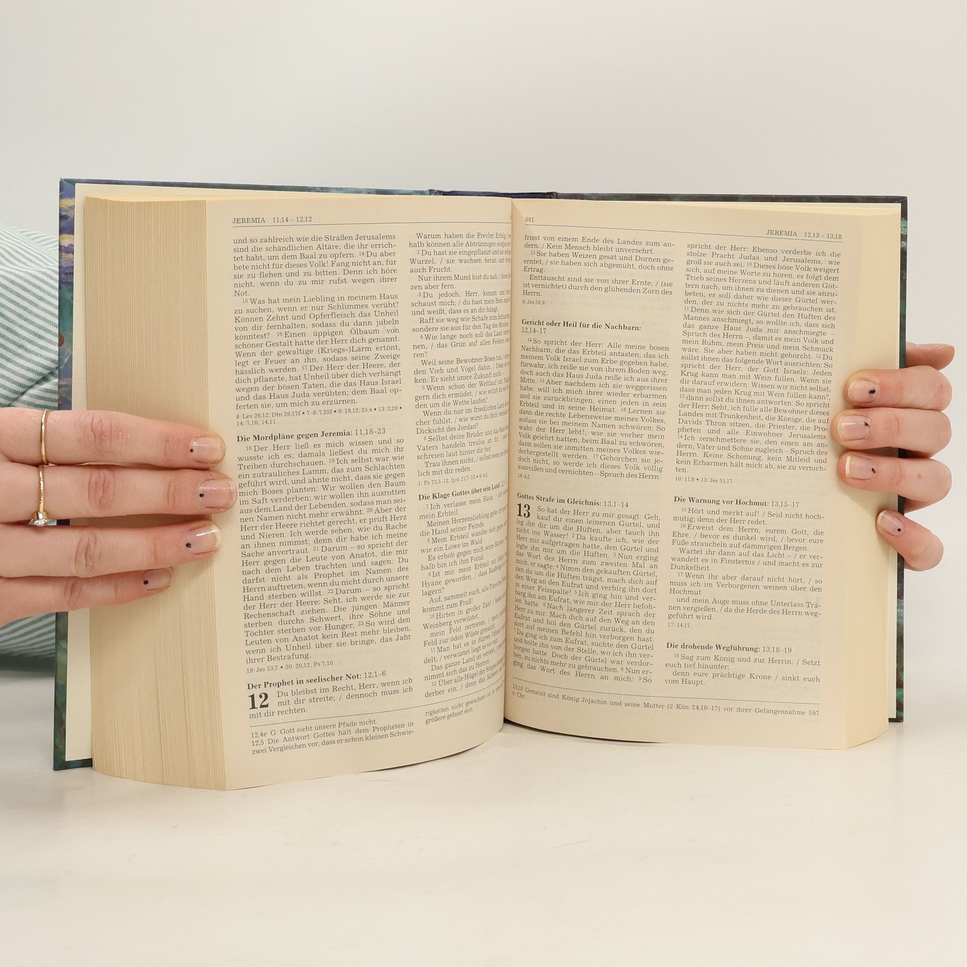 Various authors Die Bibel. Einheitsübersetzung