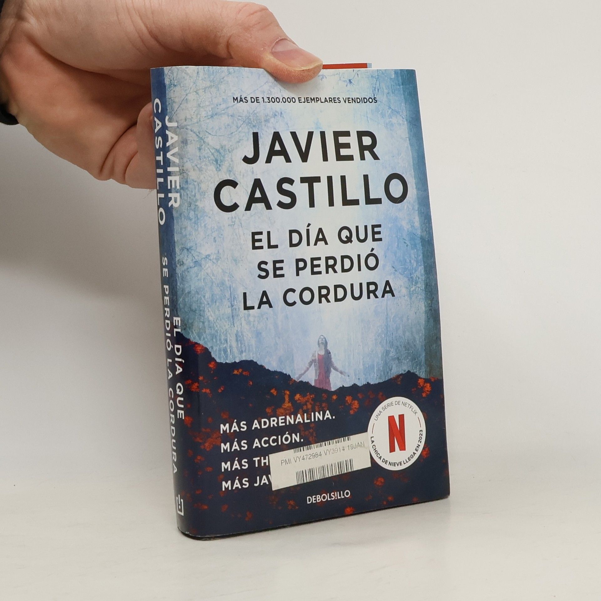 Javier Castillo El dia que se perdio la cordura