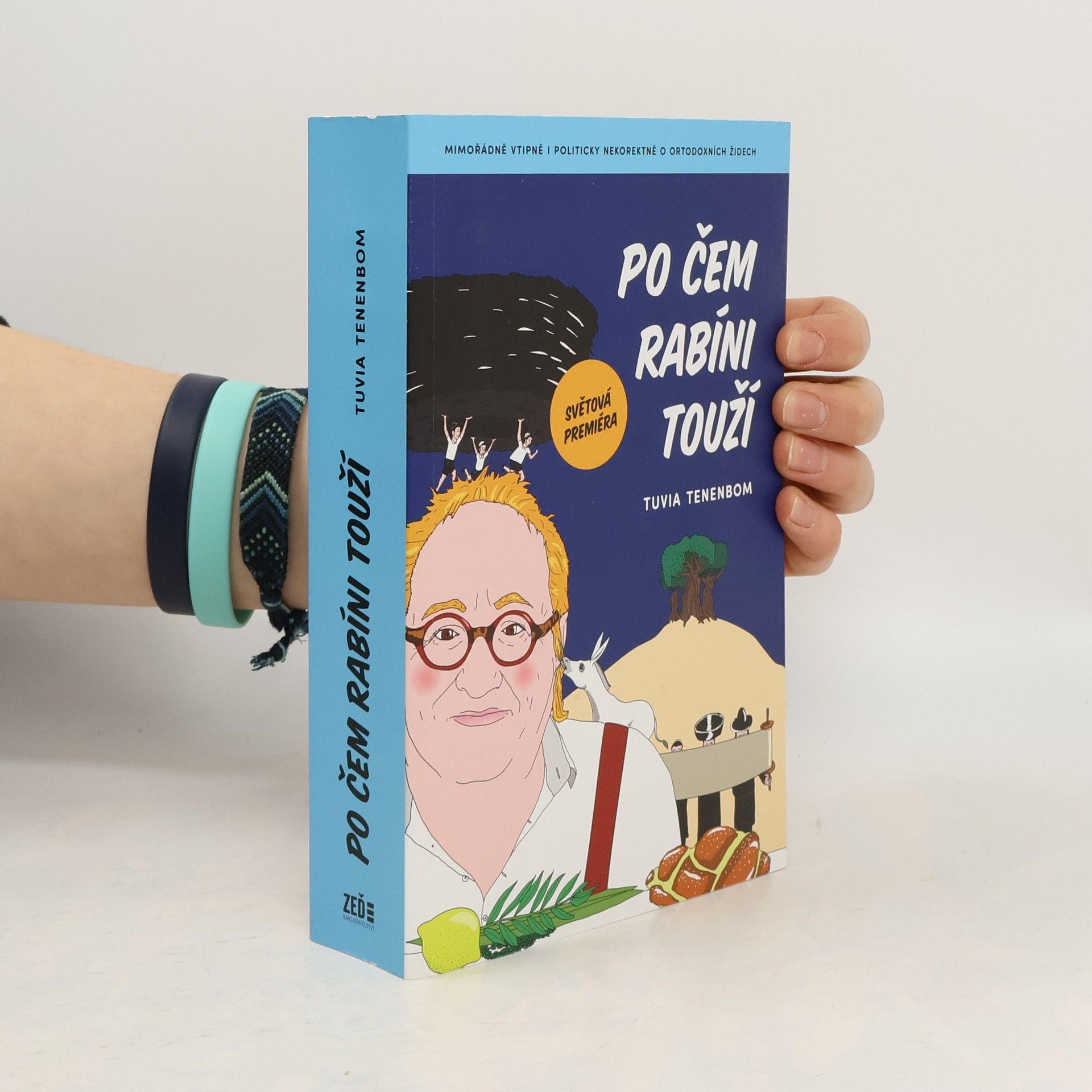 Tuvia Tenenbom Po čem rabíni touží : mimořádně vtipná i politicky nekorektní zpráva o ortodoxních Židech