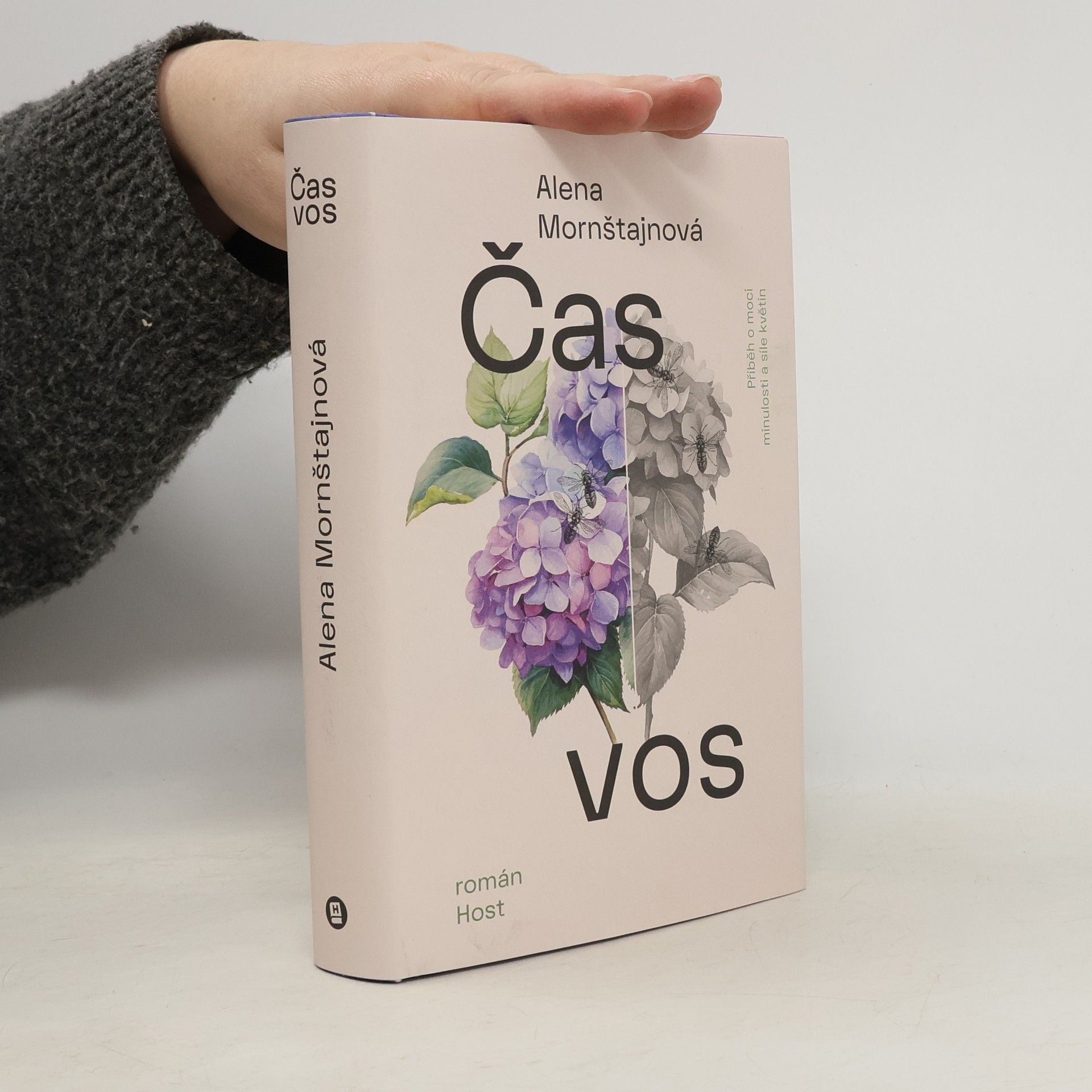 Alena Mornštajnová Čas vos