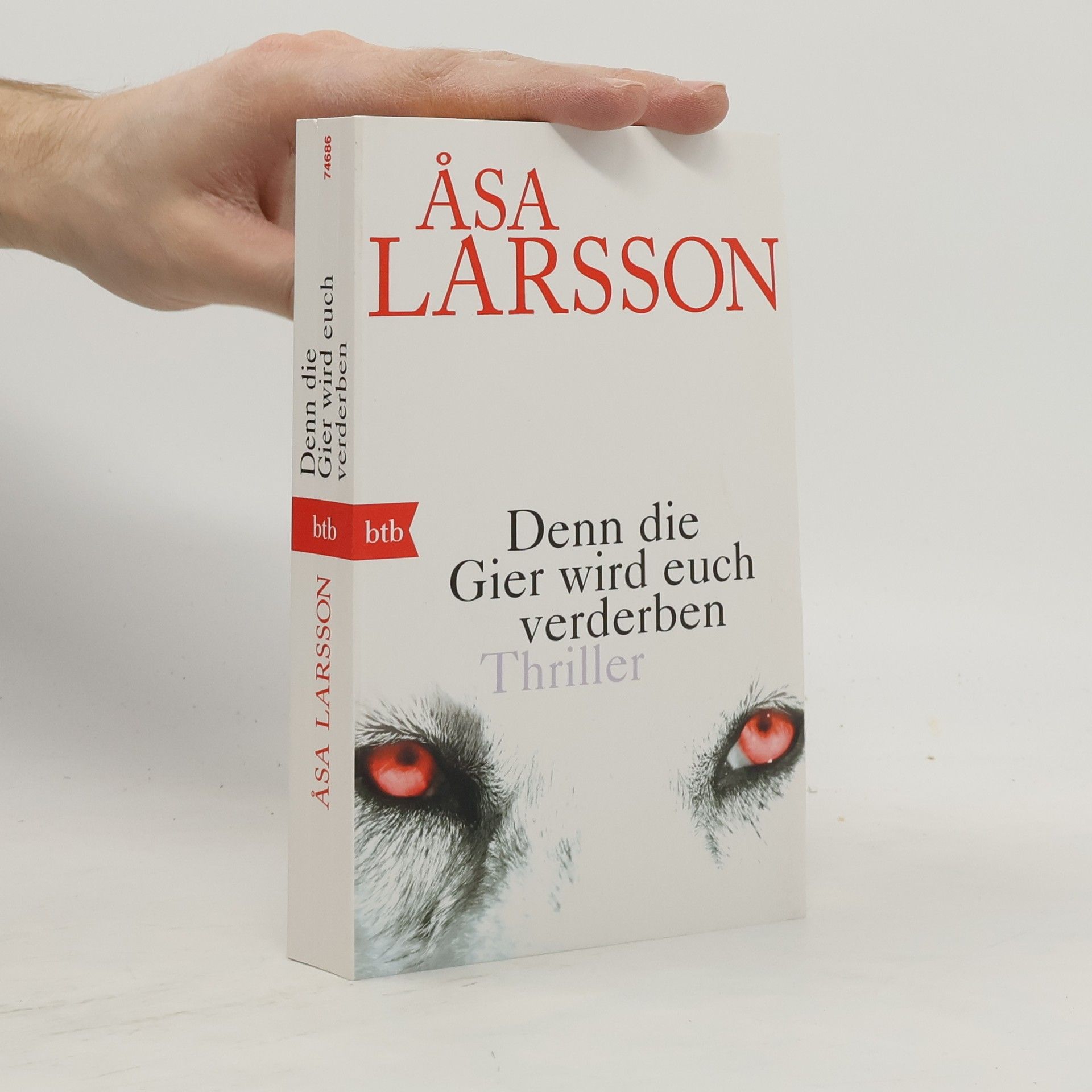 Åsa Larsson Denn die Gier wird euch verderben