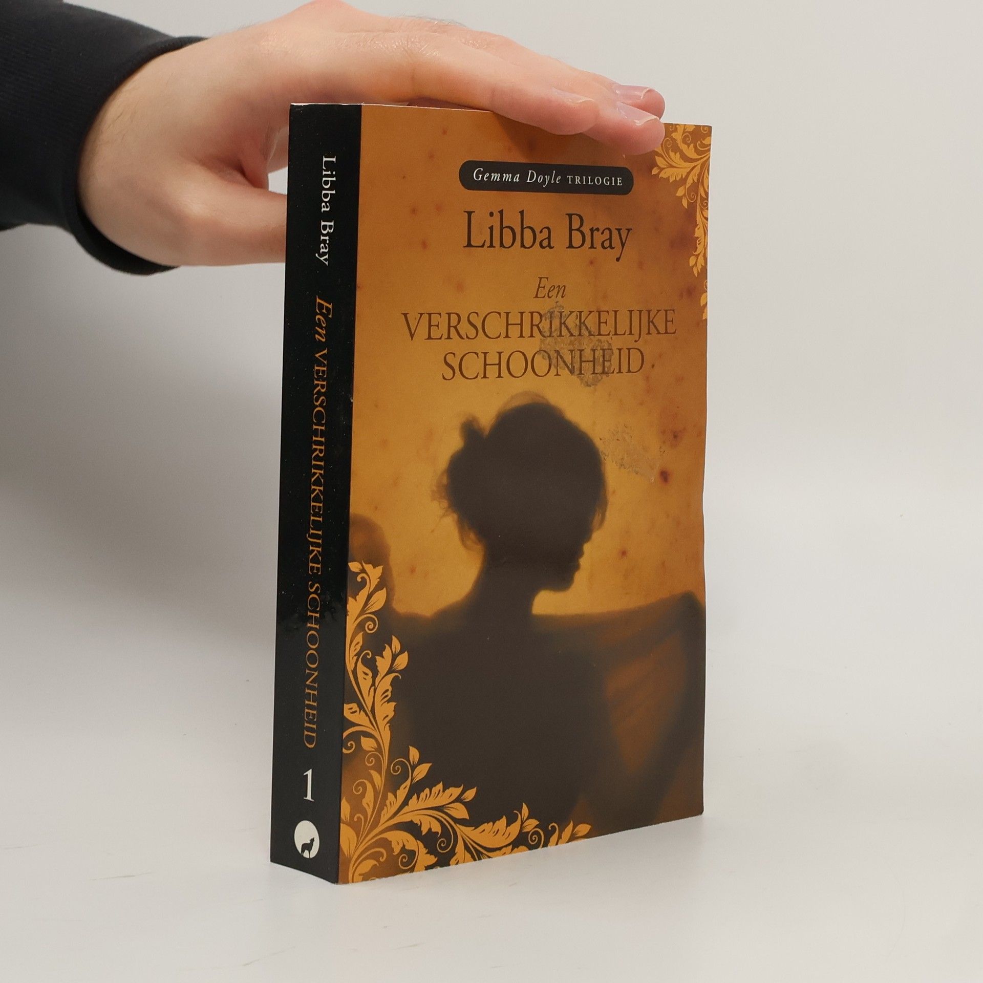 Libba Bray Een verschrikkelijke schoonheid / druk 1