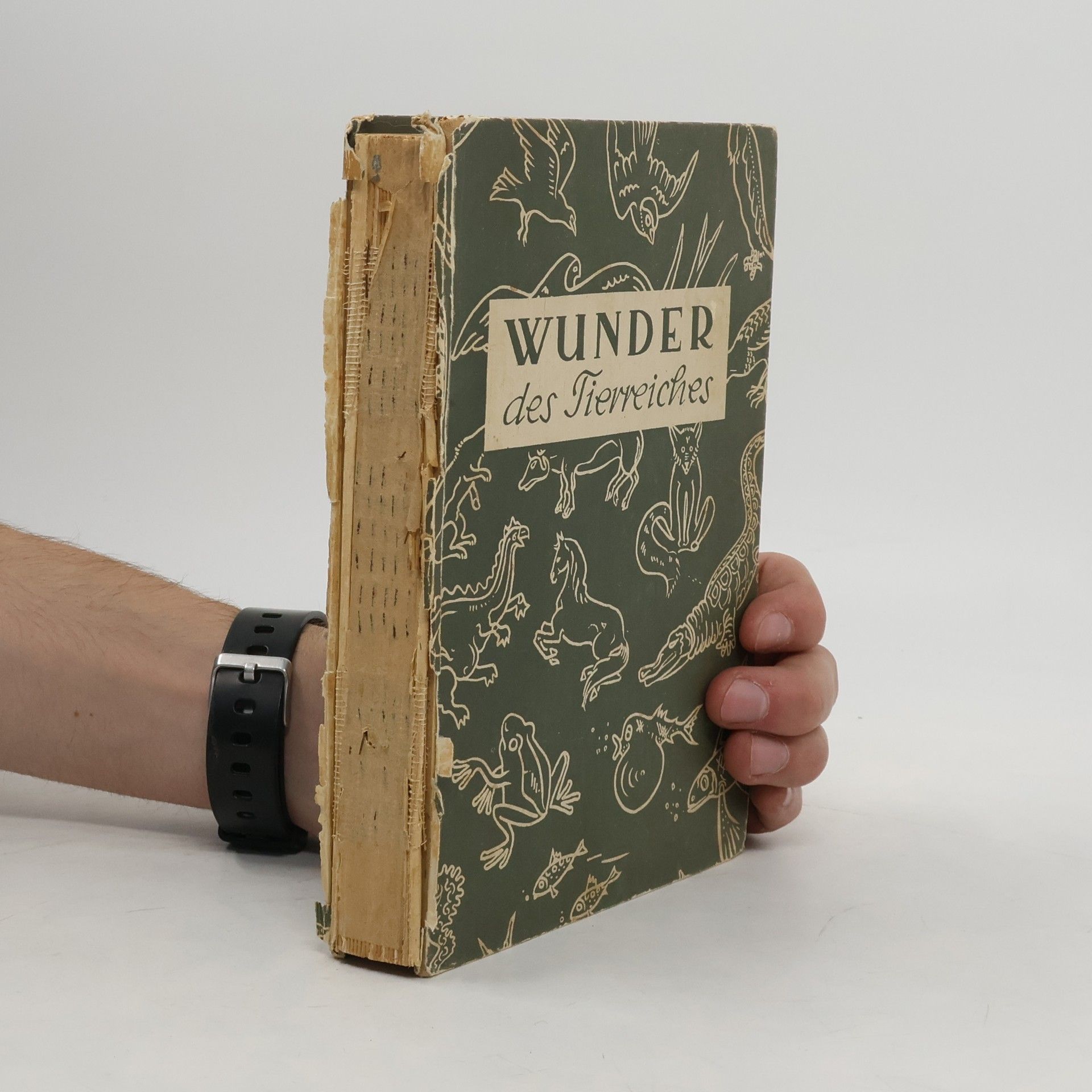 Wunder des Tierreiches