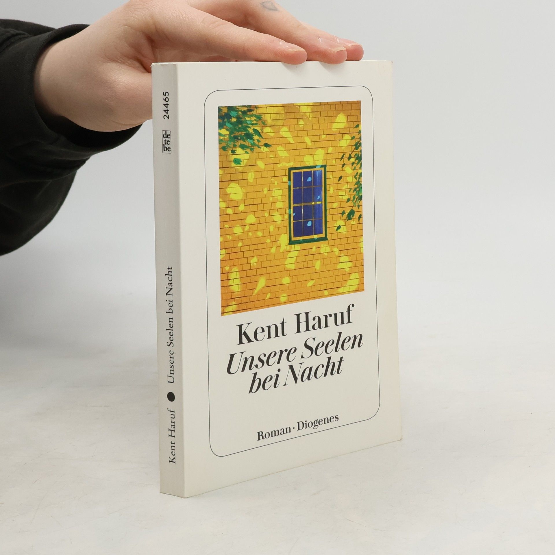 Kent Haruf Unsere Seelen bei Nacht