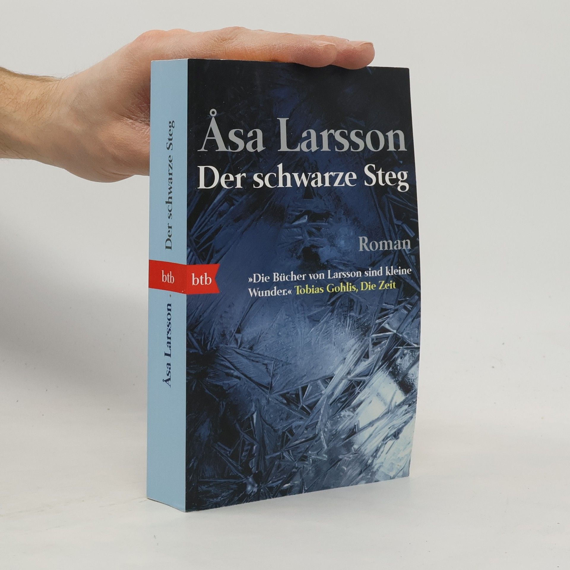 Åsa Larsson Der schwarze Steg