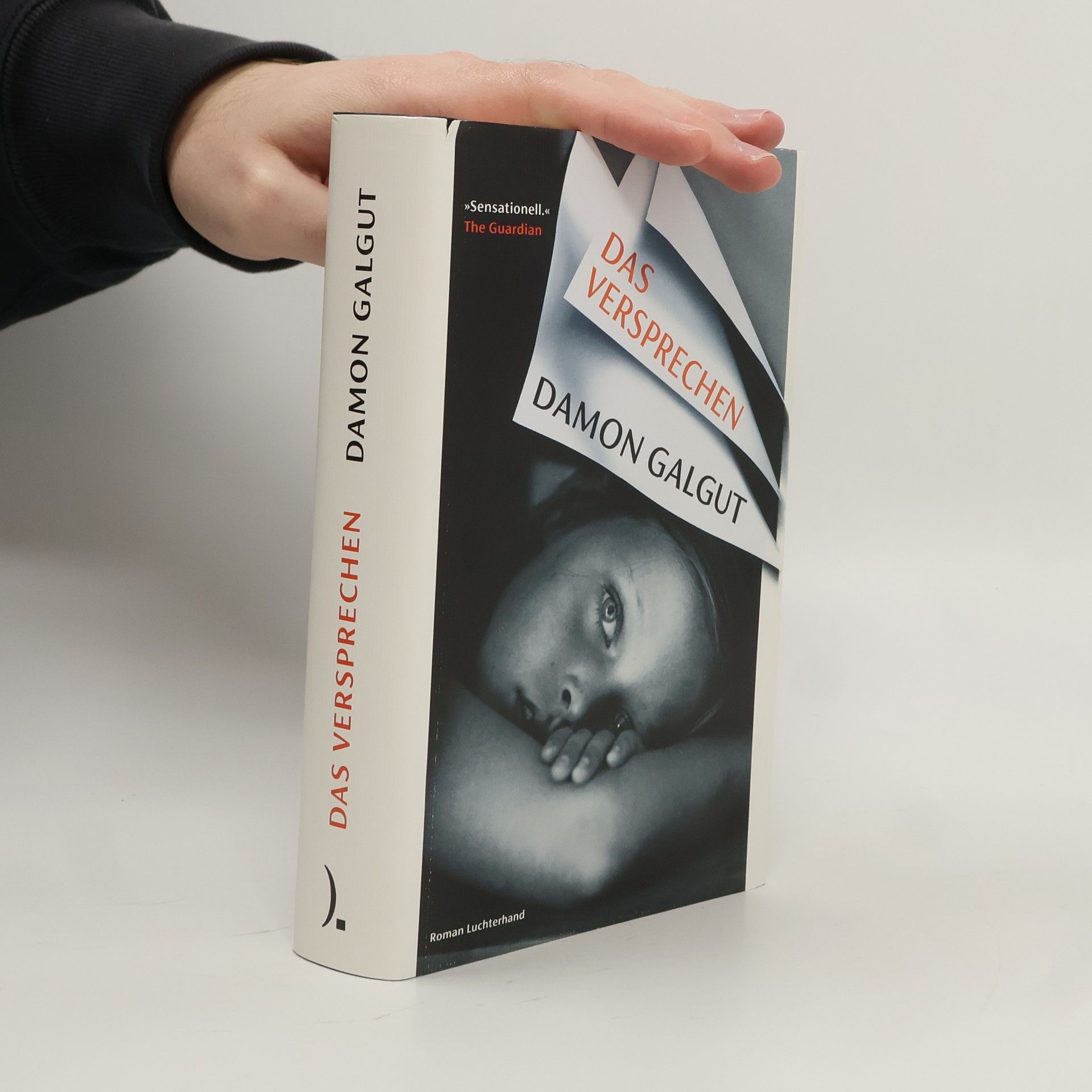 Damon Galgut Das Versprechen