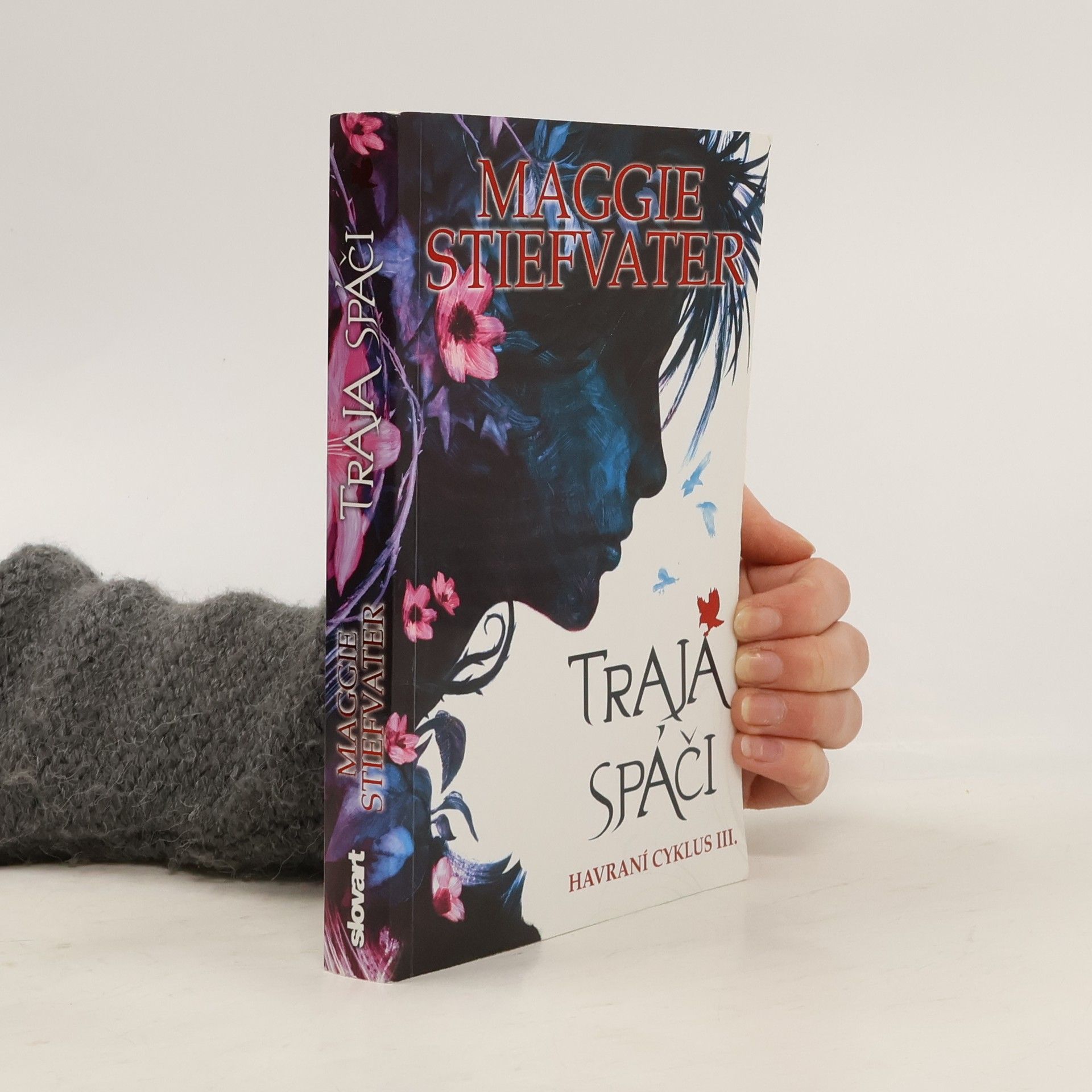 Maggie Stiefvater Traja spáči