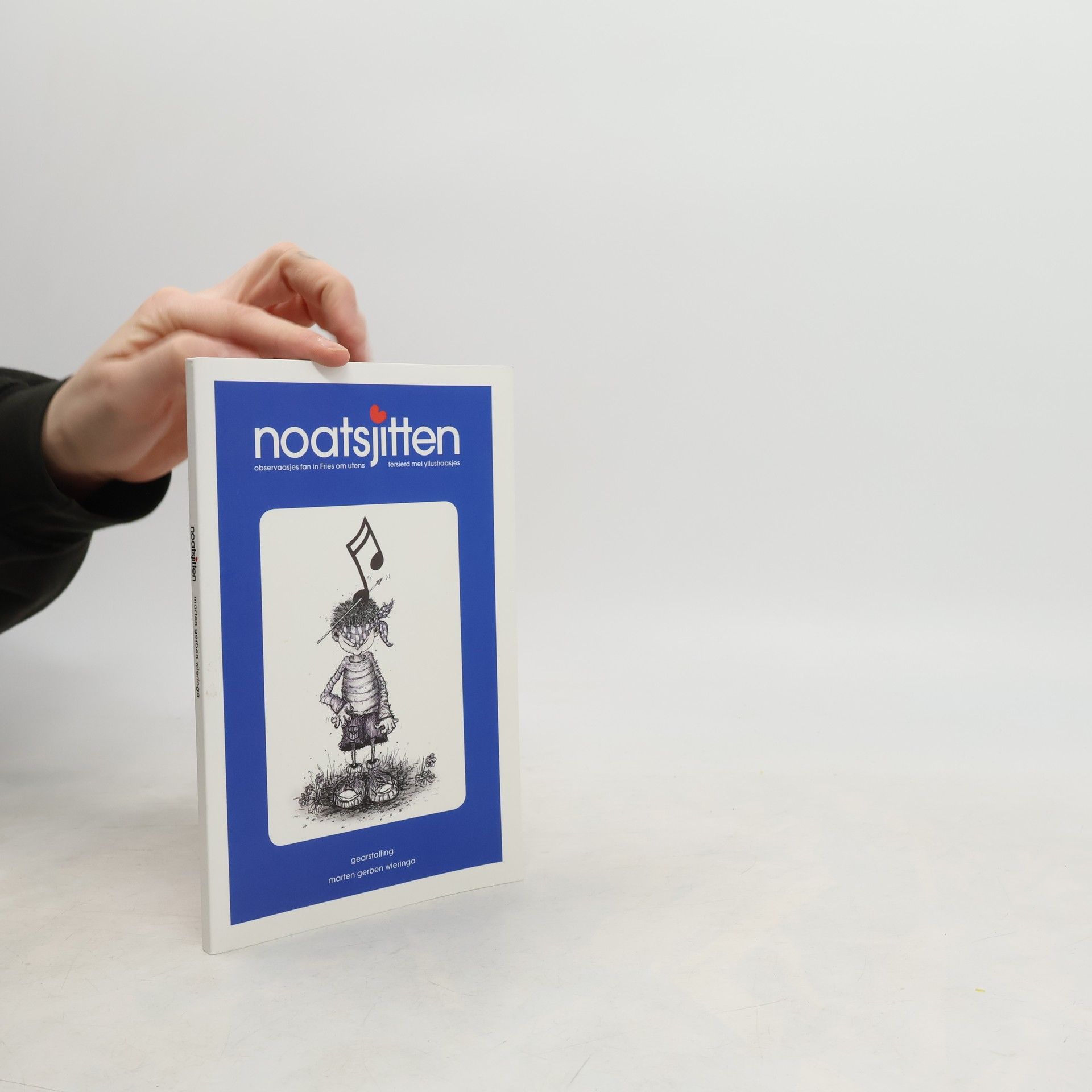 Marten Gerben Wieringa Noatsjitten