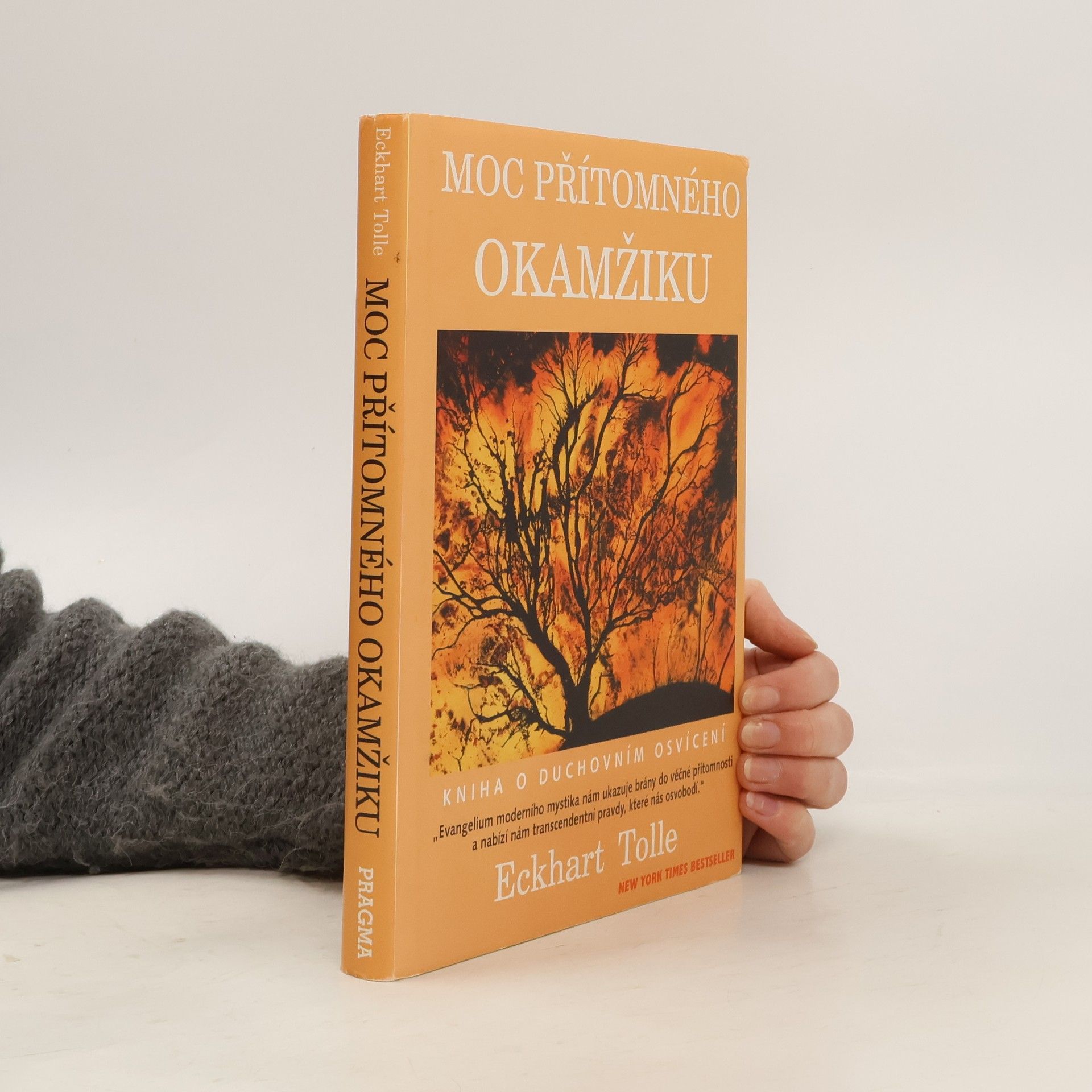 Eckhart Tolle Moc přítomného okamžiku