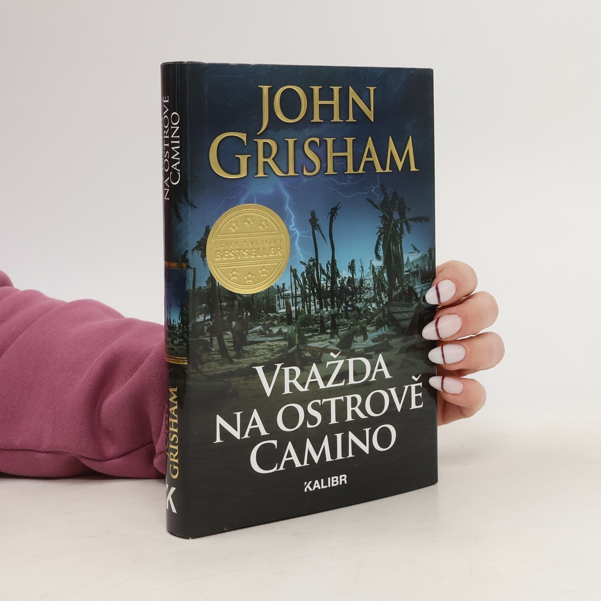 John Grisham Vražda na ostrově Camino
