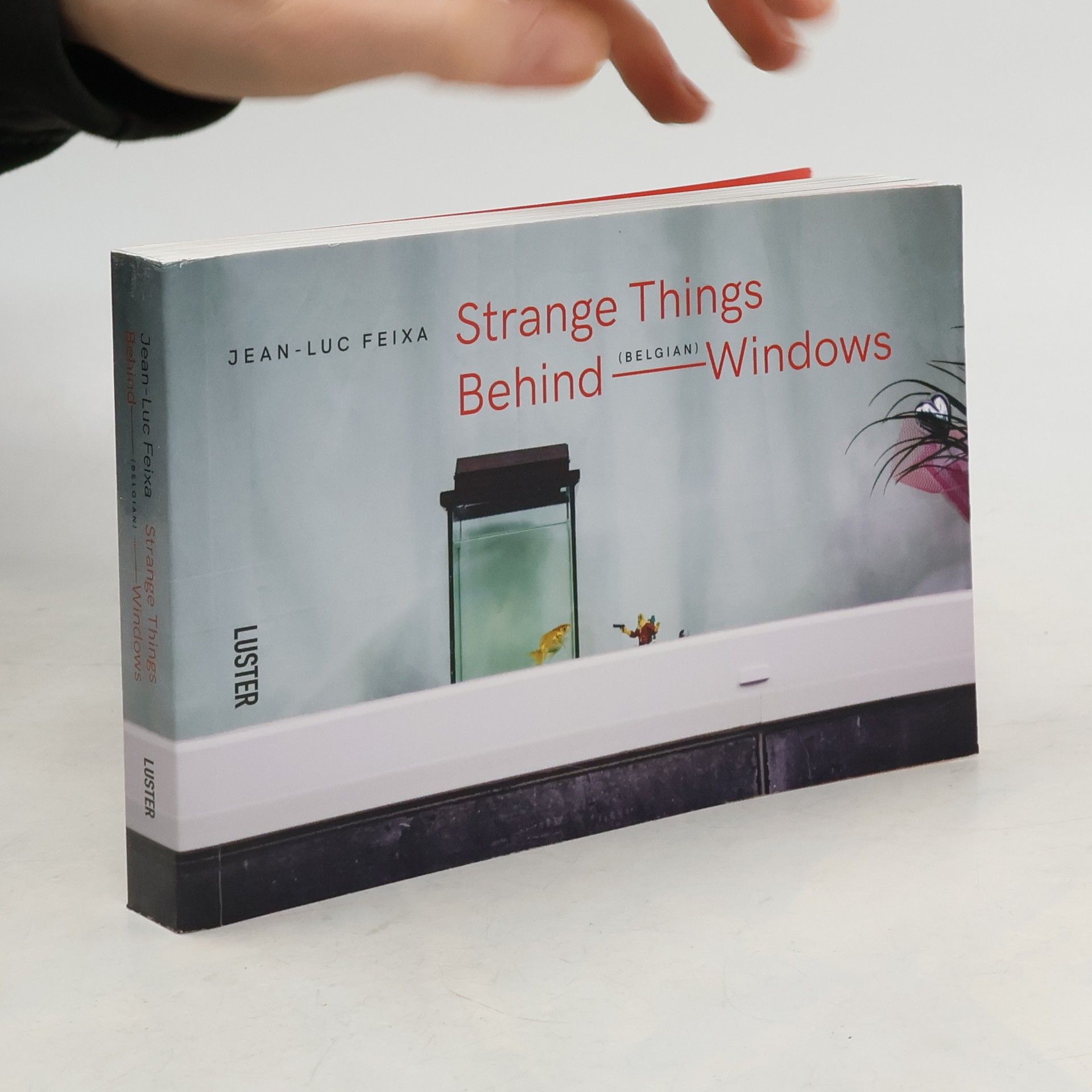 Jean-Luc Feixa Strange Things Behind Belgian Windows