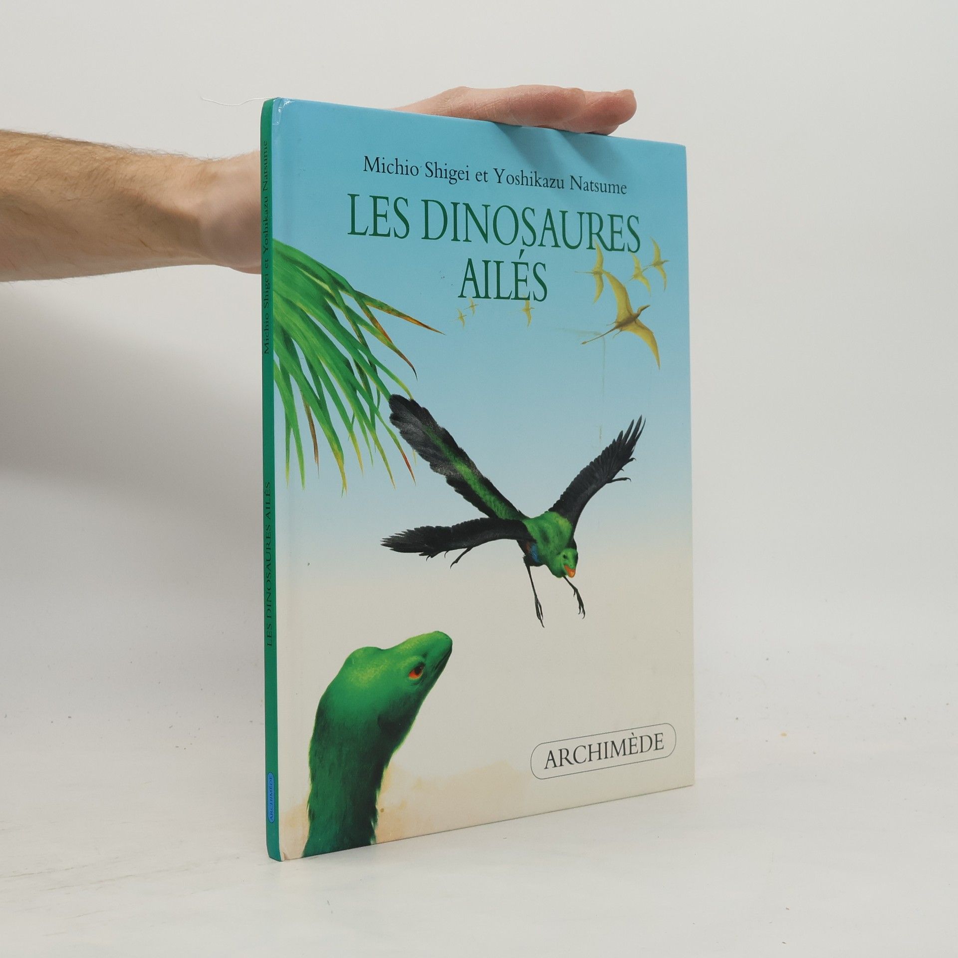 Michio Shigei Les dinosaures ailés