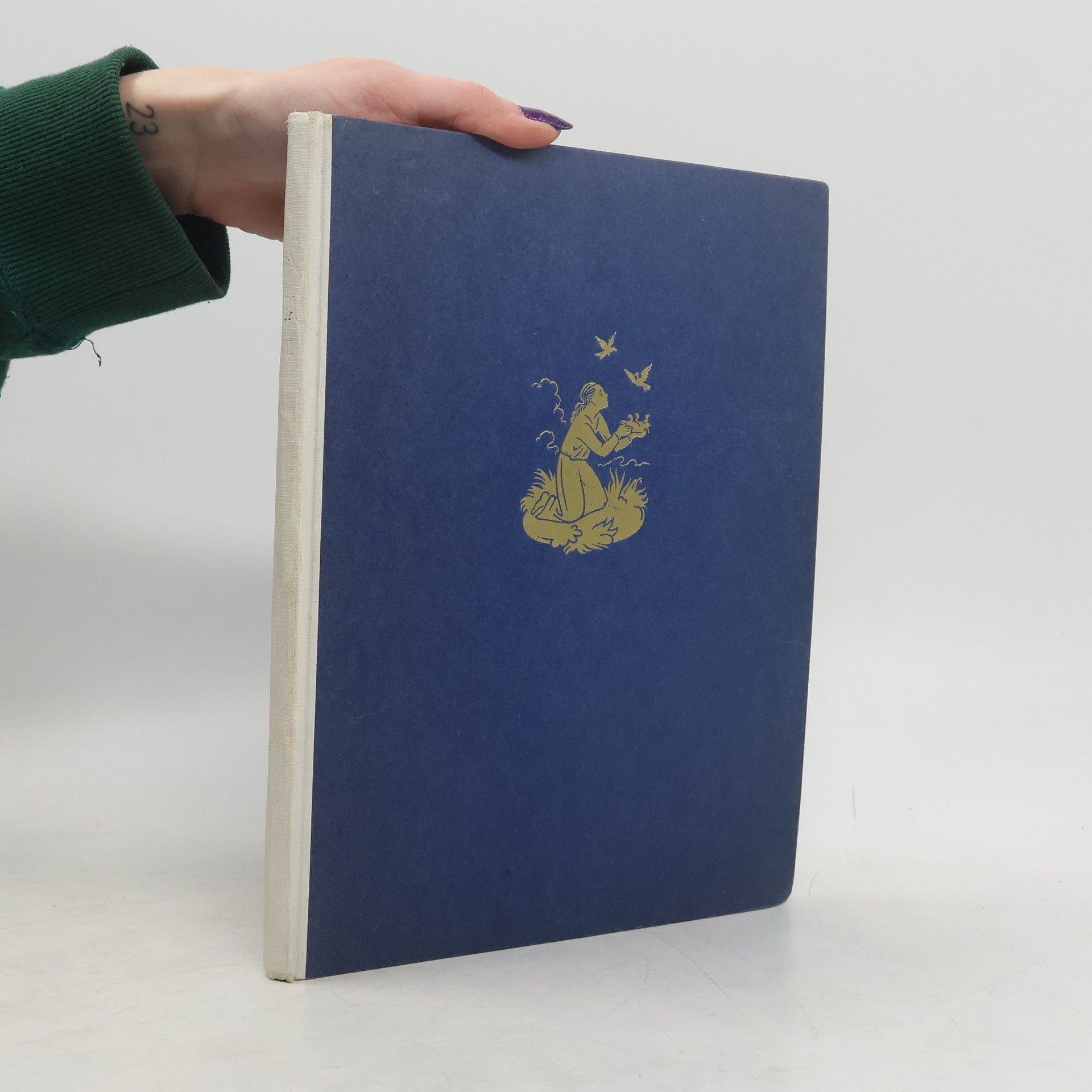 Kolektiv autorů Lípa