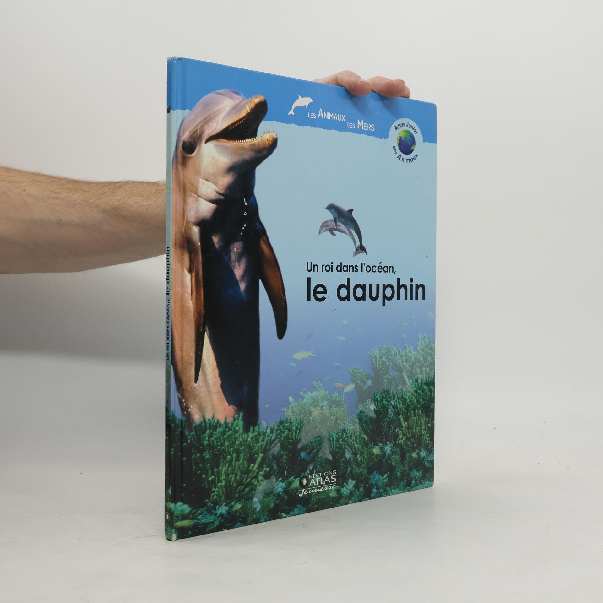 Atlas junior des animaux: Un roi dans l'océan, le dauphin