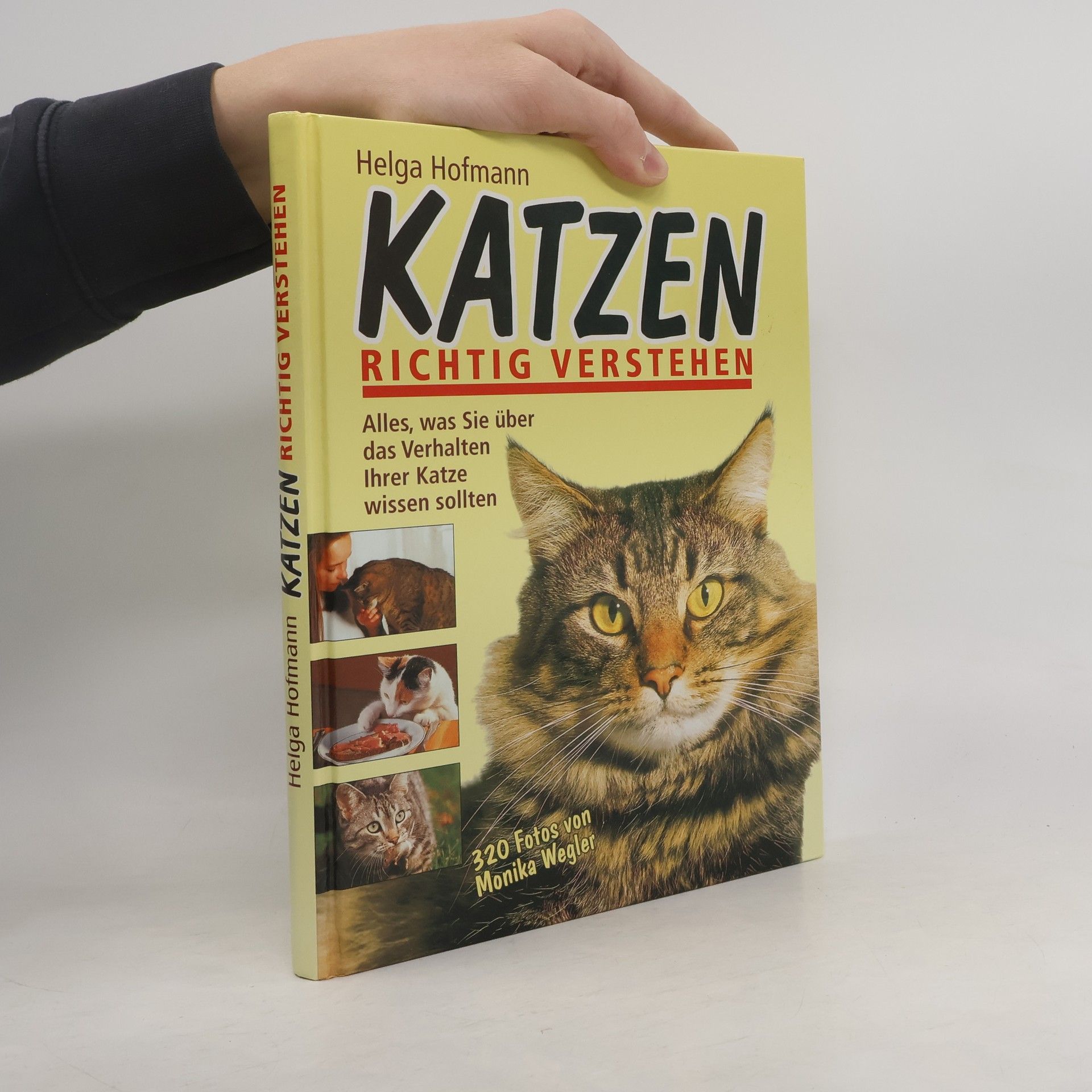 Helga Hofmann Katzen richtig verstehen