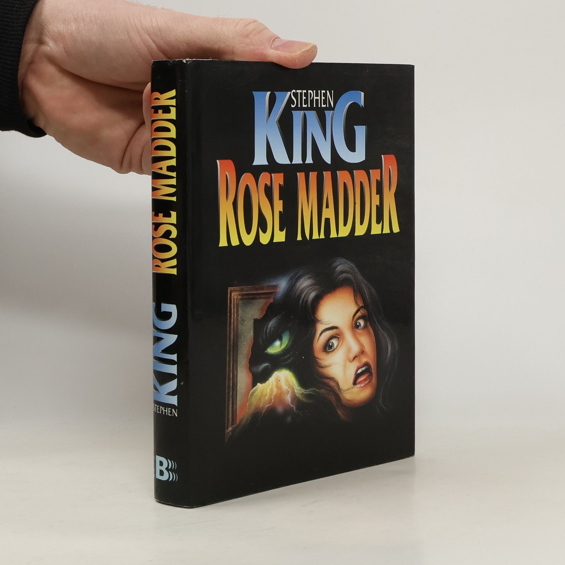 Stephen King Rose Madder