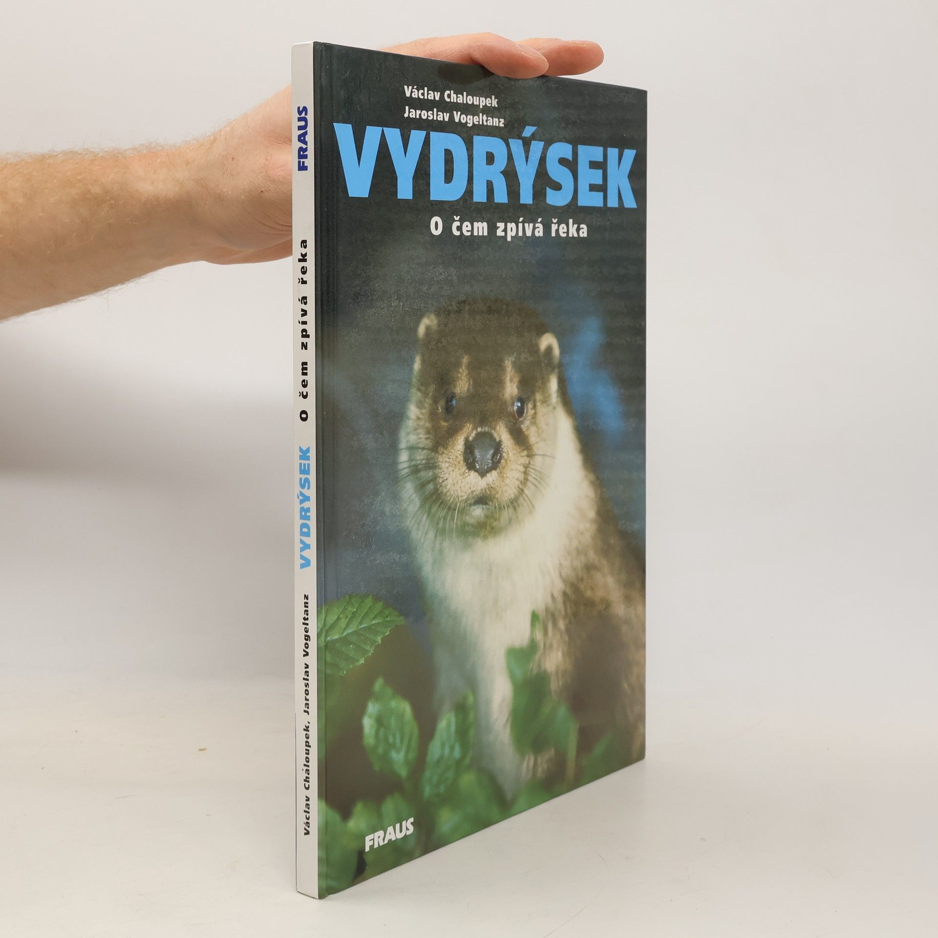 Vydrýsek. O čem zpívá řeka