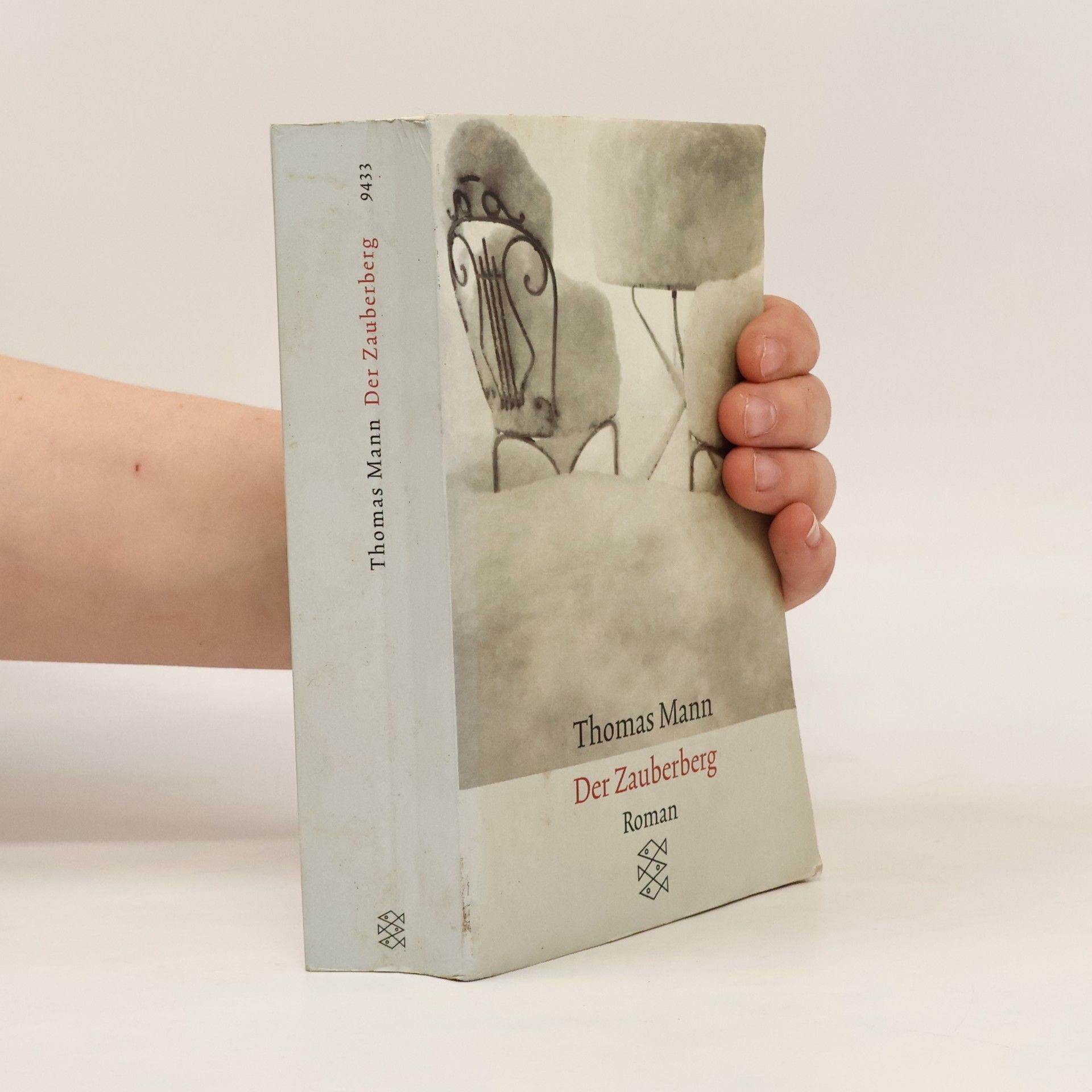 Thomas Mann Der Zauberberg