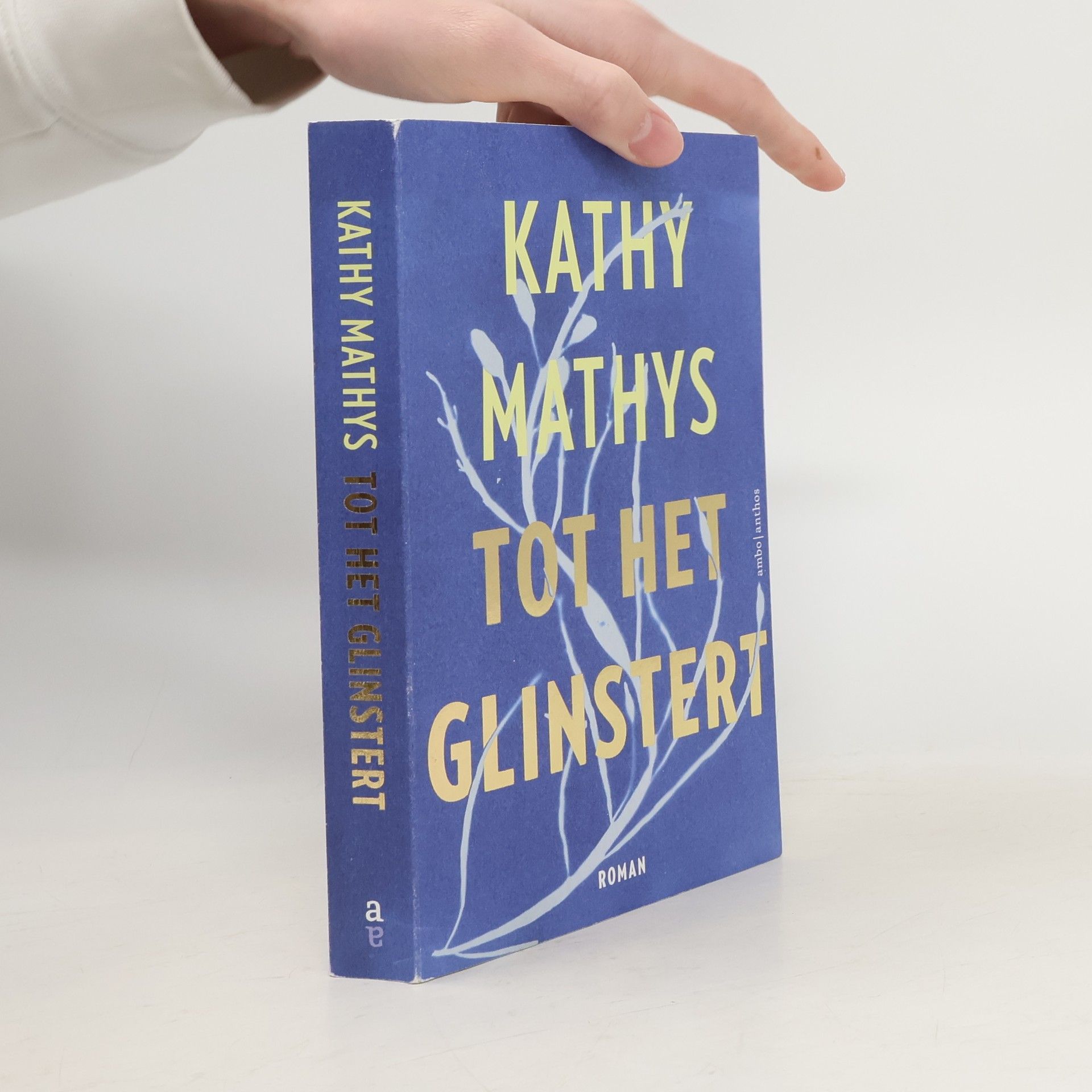 Kathy Mathys Tot het glinstert