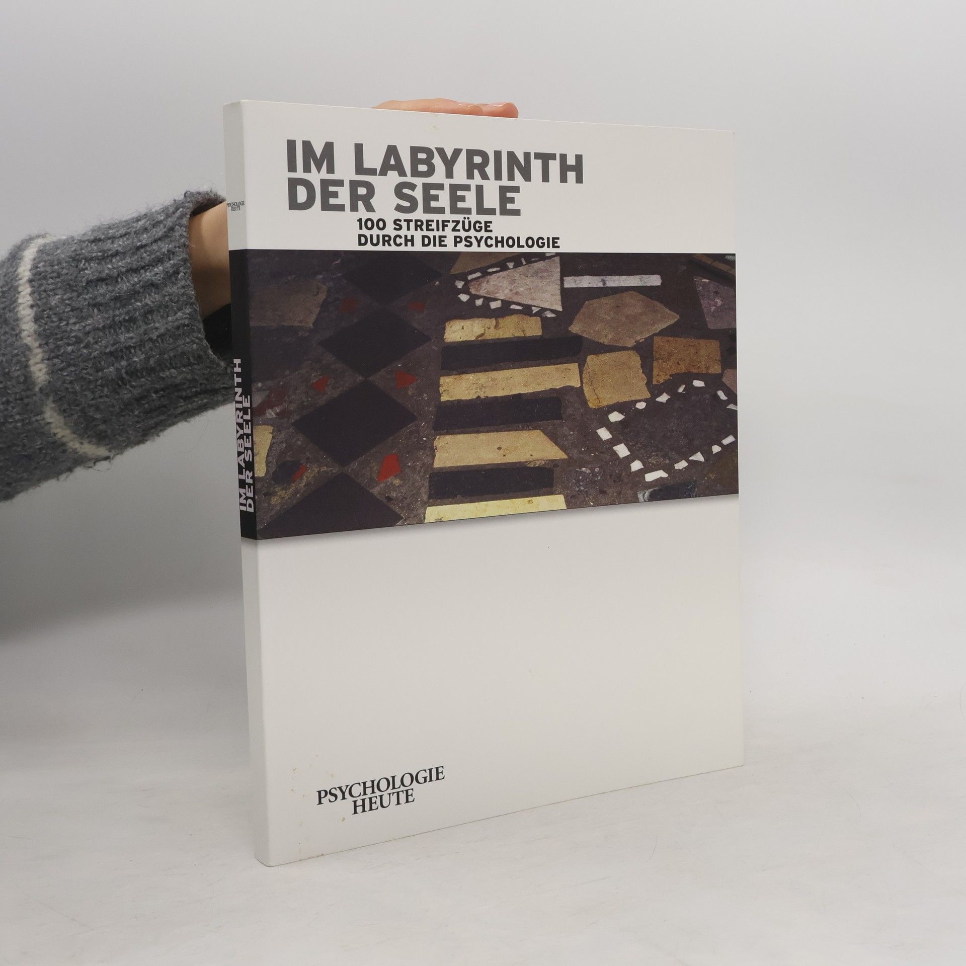 Collectif d'auteurs Im Labyrinth der Seele