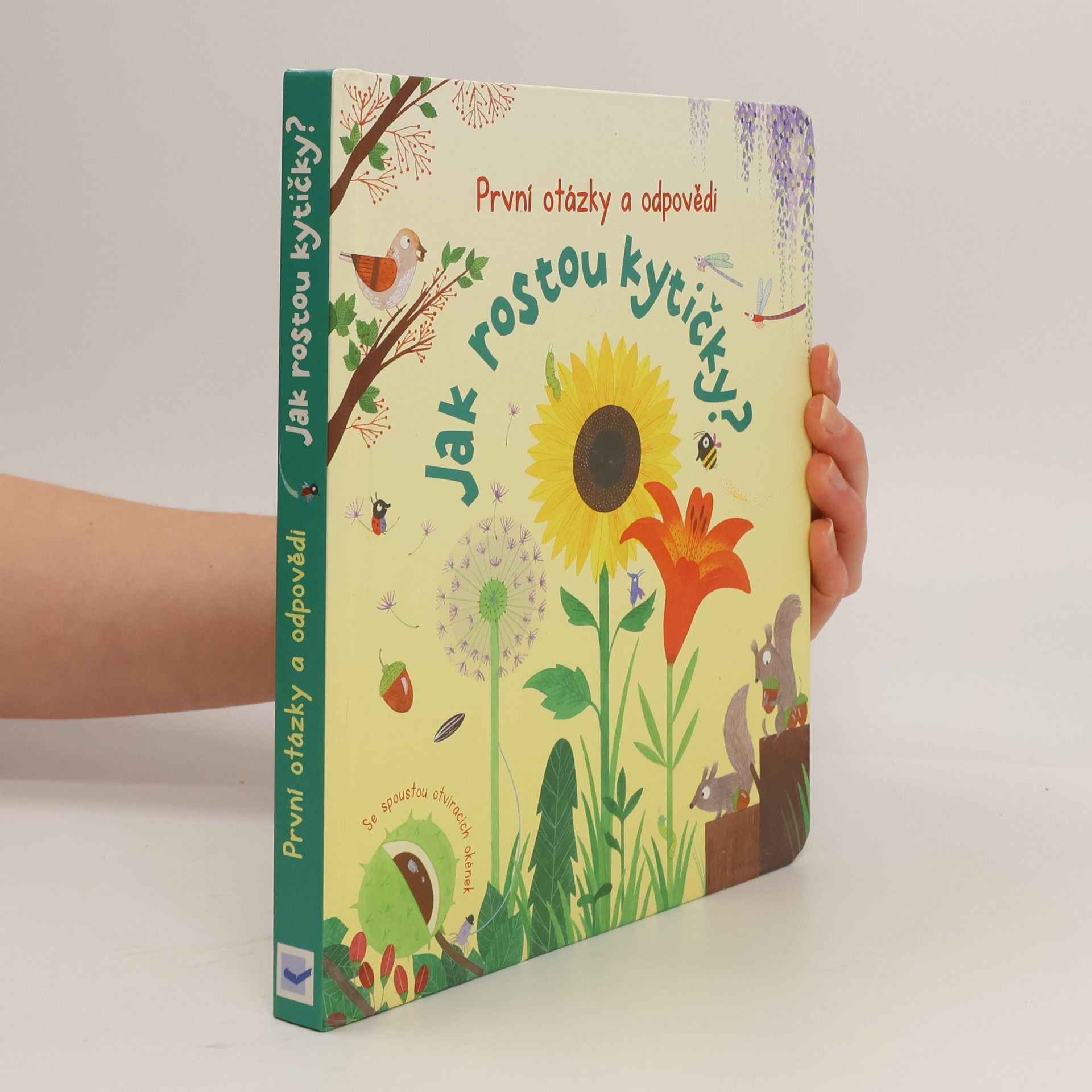 Katie Daynes Jak rostou kytičky?