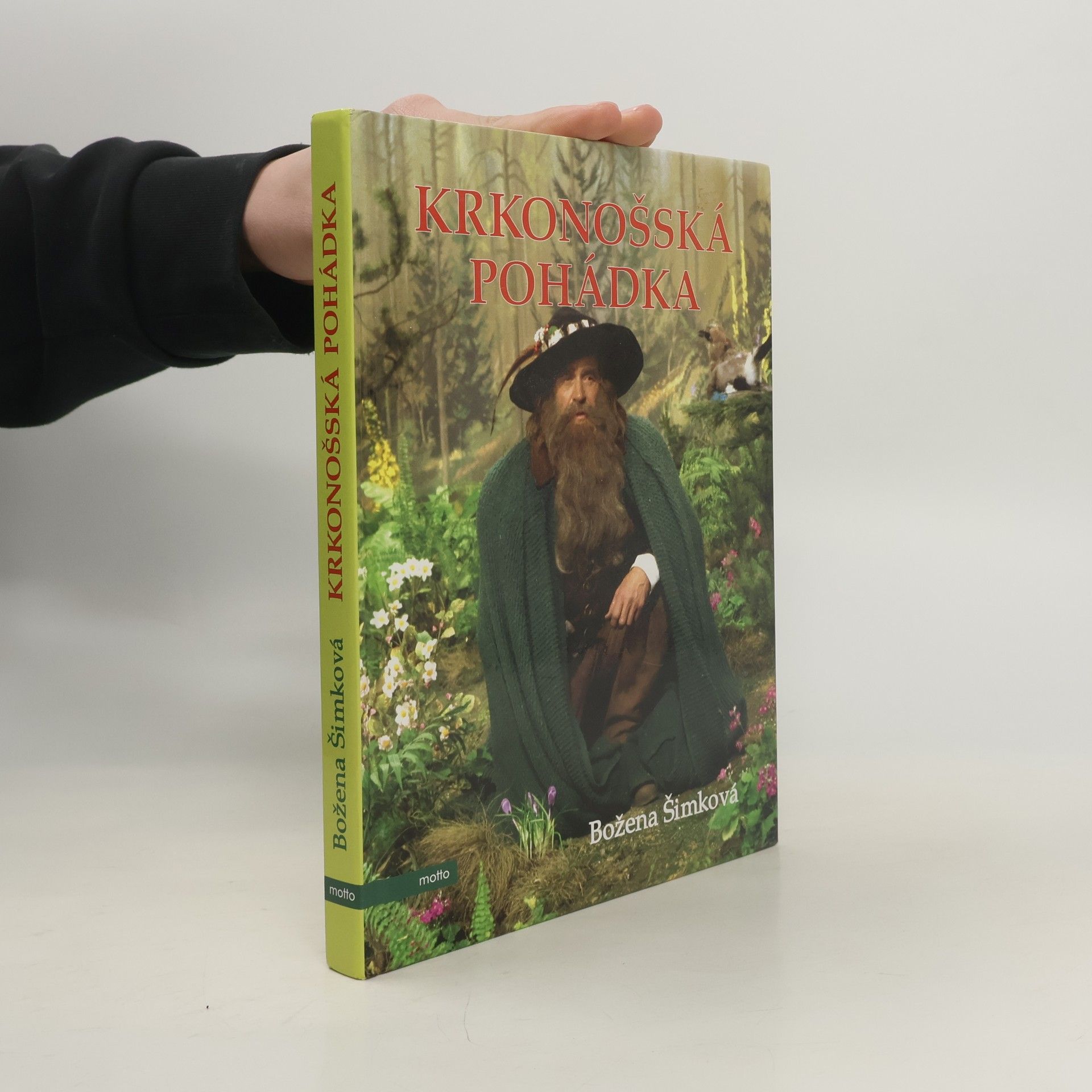 Krkonošská pohádka
