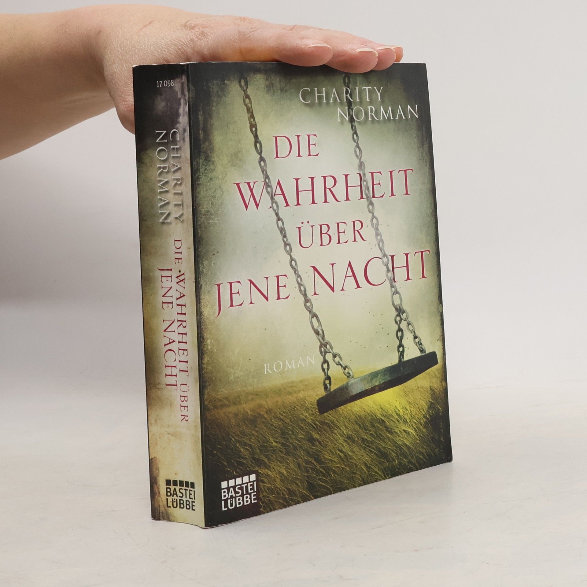 Charity Norman Die Wahrheit über jene Nacht