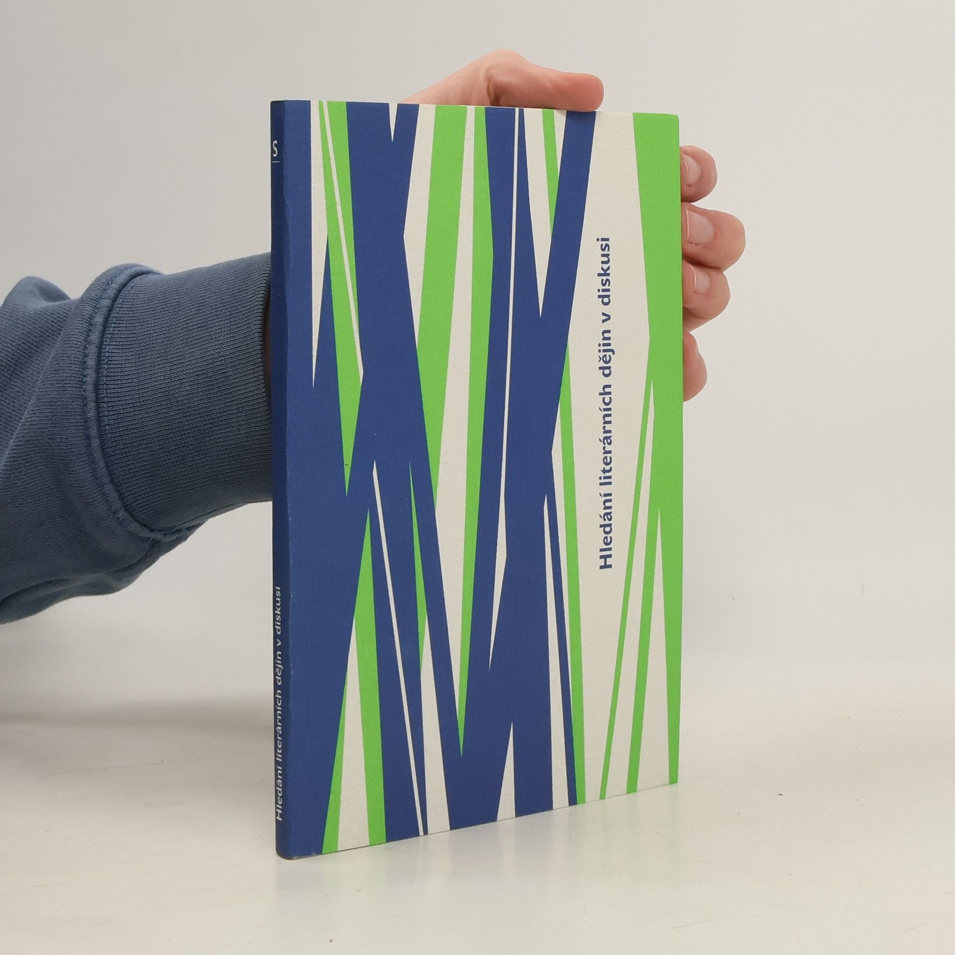 Autorenkollektiv Hledání literárních dějin v diskuzi