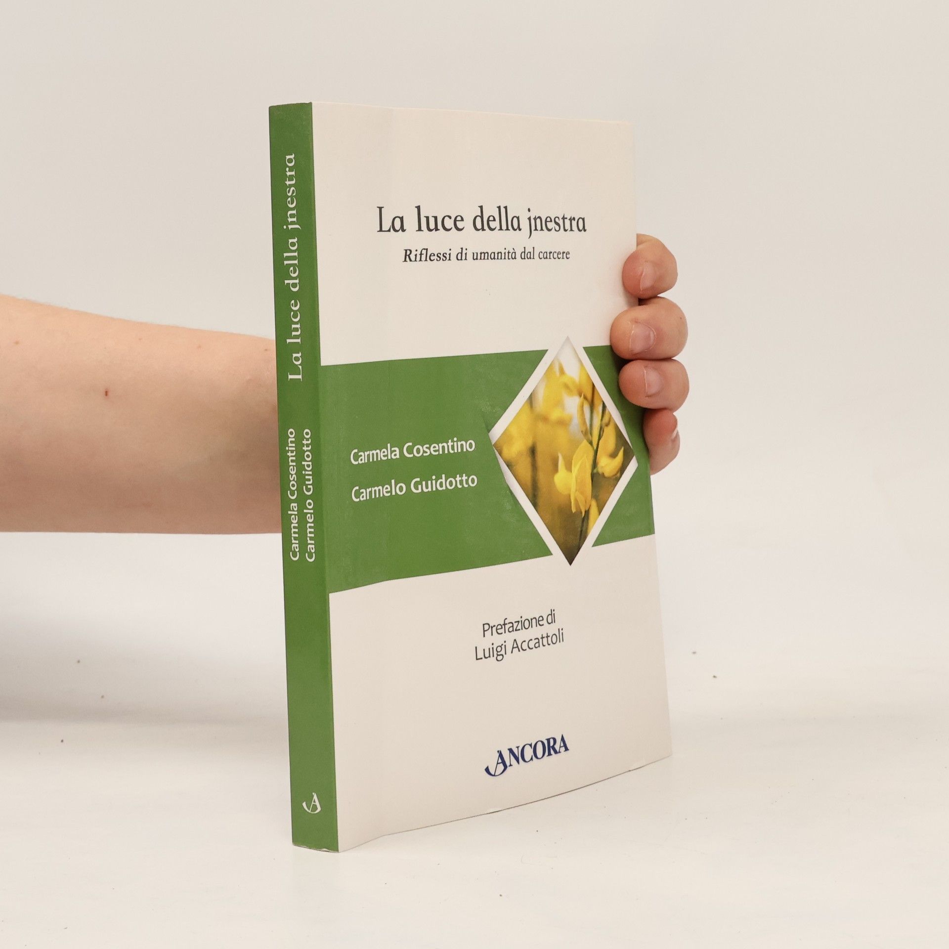 La luce della jnestra. Riflessi di umanità dal carcere